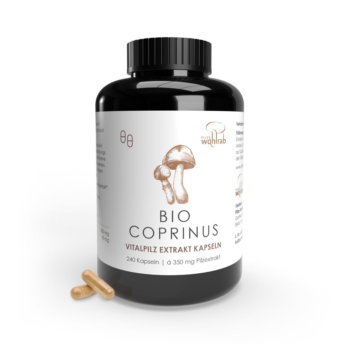 Schwarze Dose mit BIO CHAGA Vitalpilz Extrakt Kapseln, daneben Chaga Pilzstücke.