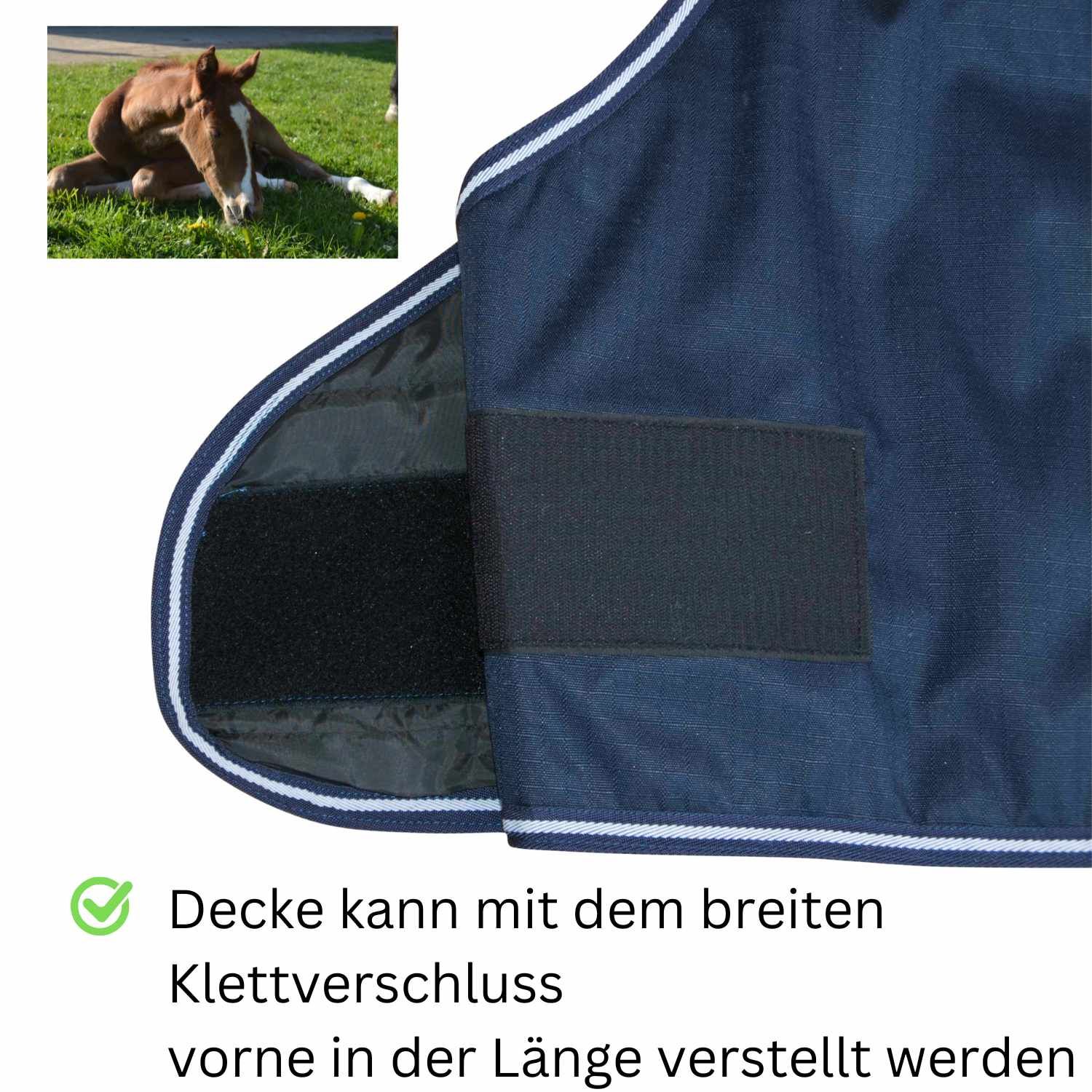 Blaue Fleecedecke mit Klettverschluss. Weißer Rand. Kleines Bild eines Fohlens auf der Wiese.