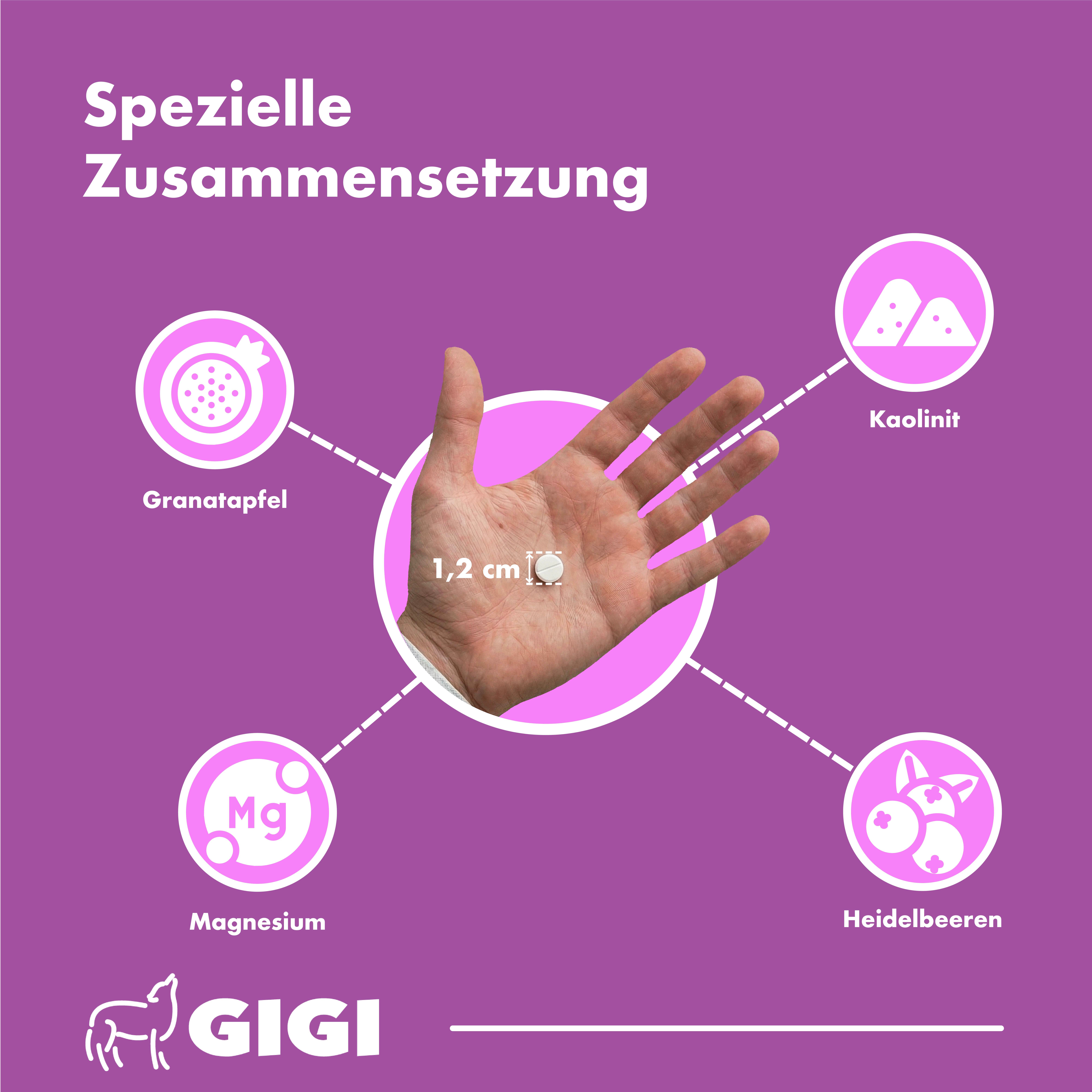 Hand mit Tablette (1,2 cm). Inhaltsstoffe: Granatapfel, Kaolin, Magnesium, Heidelbeeren.