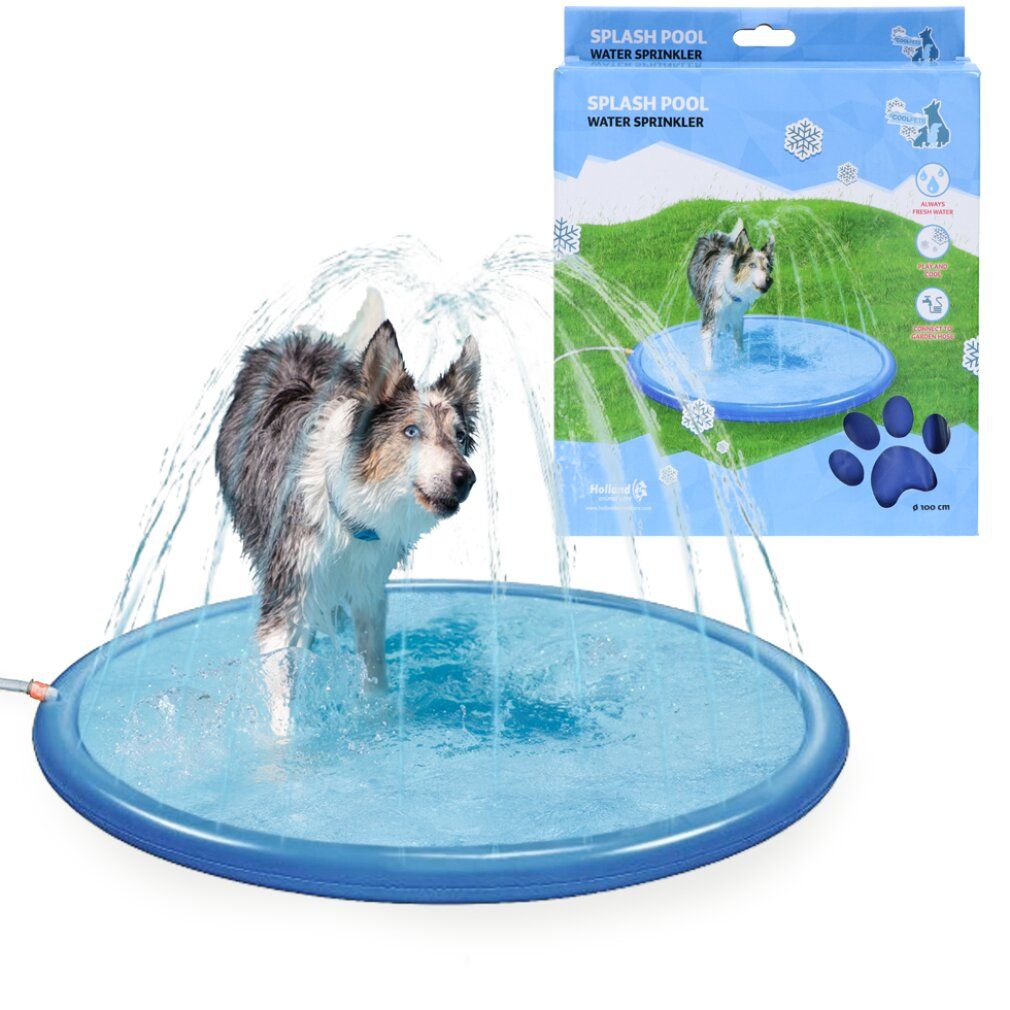 Ein Hund steht in einem blauen, runden Pool mit Wasserstrahlen. Die Verpackung zeigt das Produkt und einen Hund im Pool.