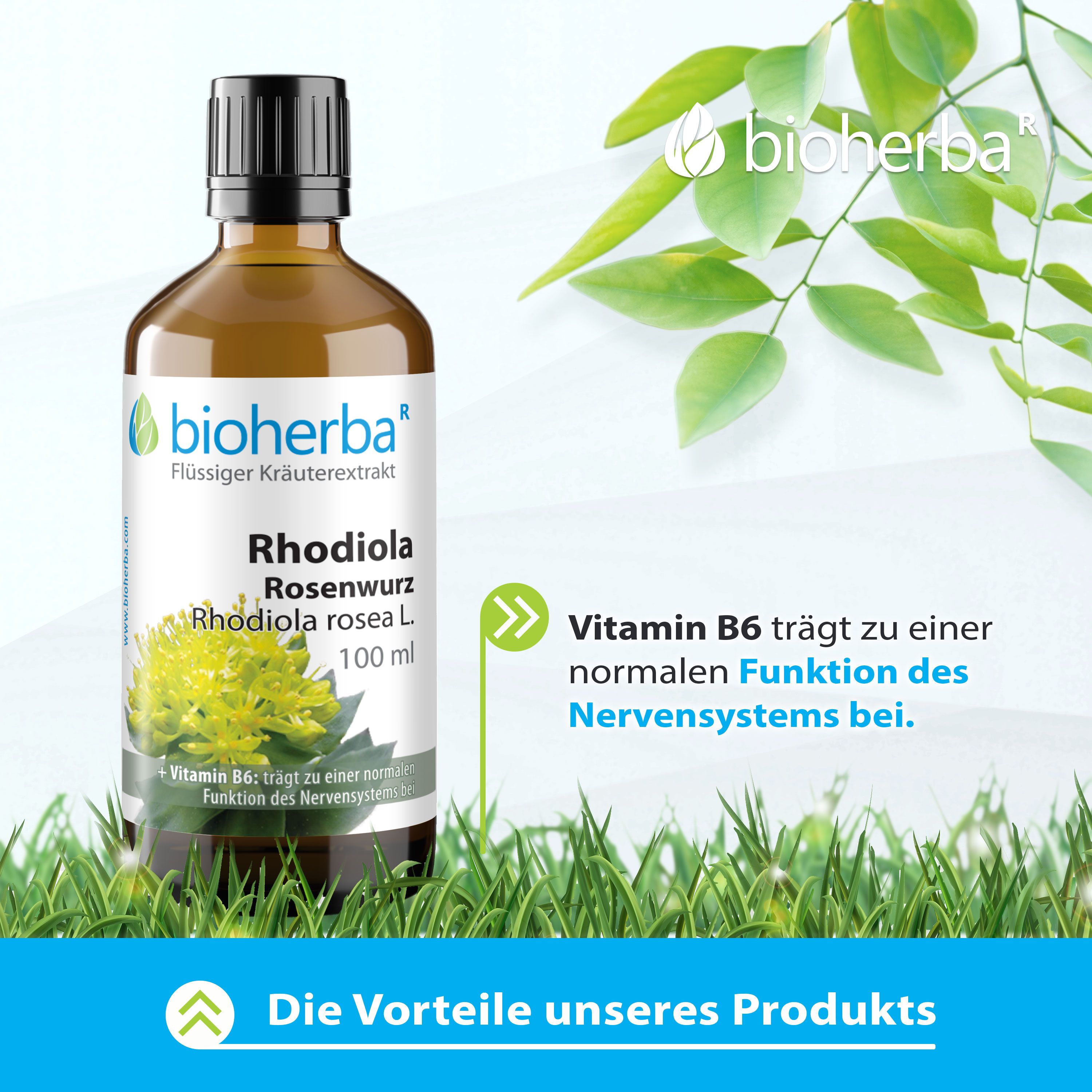 Braune Glasflasche mit schwarzem Deckel. Bioherba Rhodiola Rosenwurz, 100 ml. Auf Gras. Text: Vitamin B6 trägt zur Nervenfunktion bei.