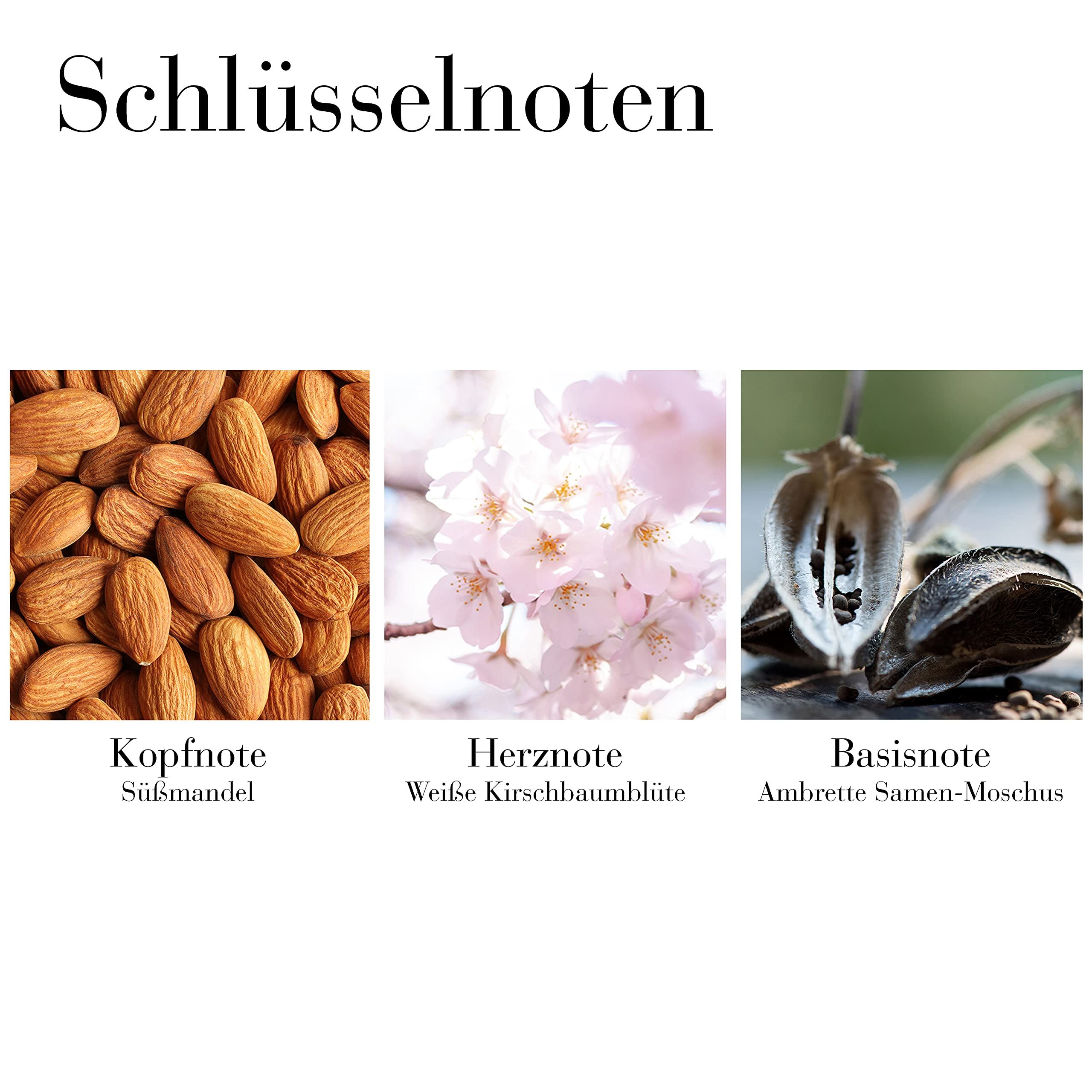 Drei Bilder von Inhaltsstoffen. Mandeln, Kirschblüten, Ambrette-Samen-Moschus. Schlüsselnoten.