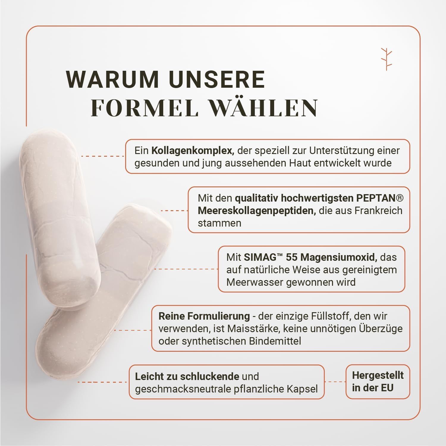 Zwei beige Kapseln. Text: Warum unsere Formel wählen. Hergestellt in der EU. Text über Inhaltsstoffe.