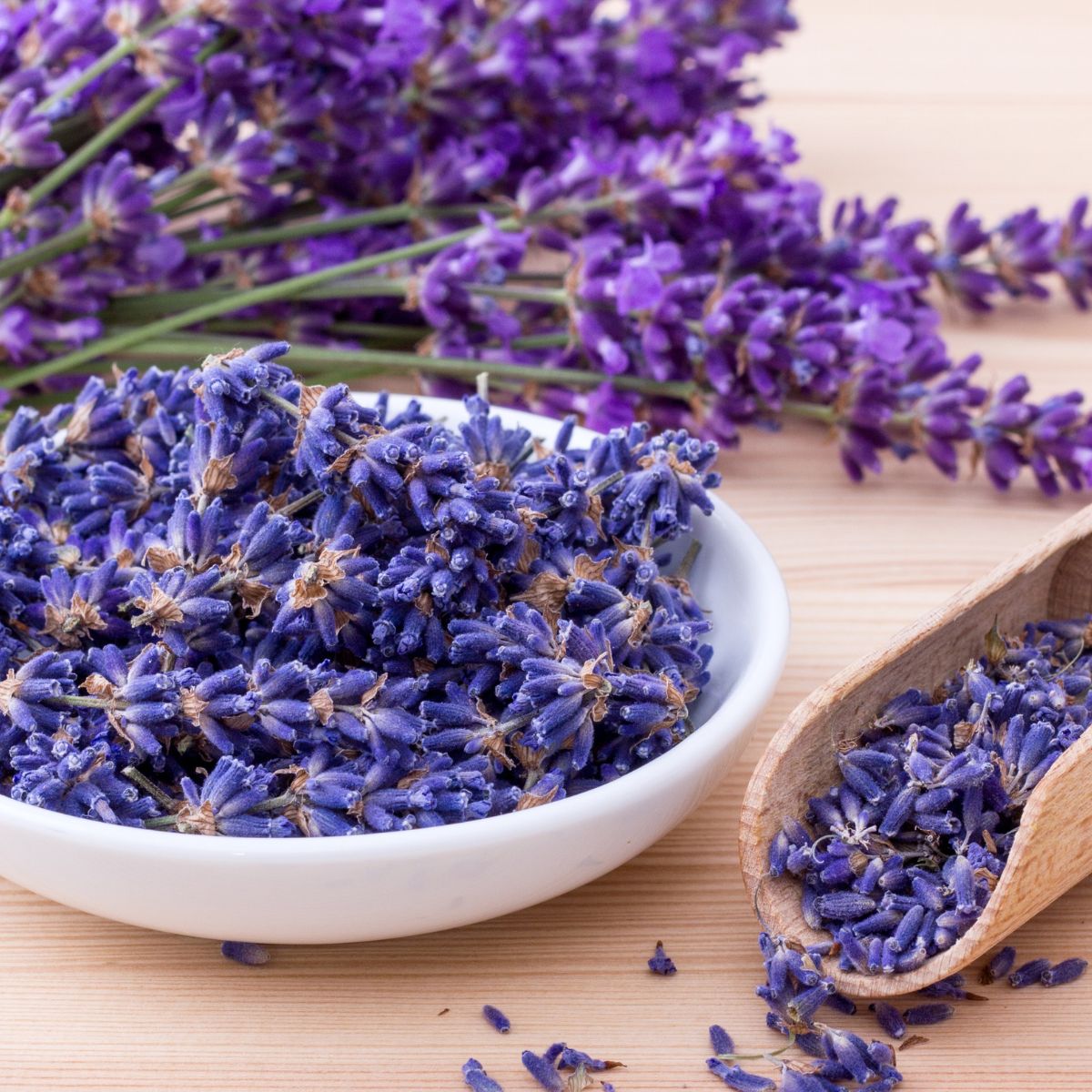 Weiße Schale mit Lavendelblüten, Holzlöffel und Lavendelzweige auf Holzuntergrund.