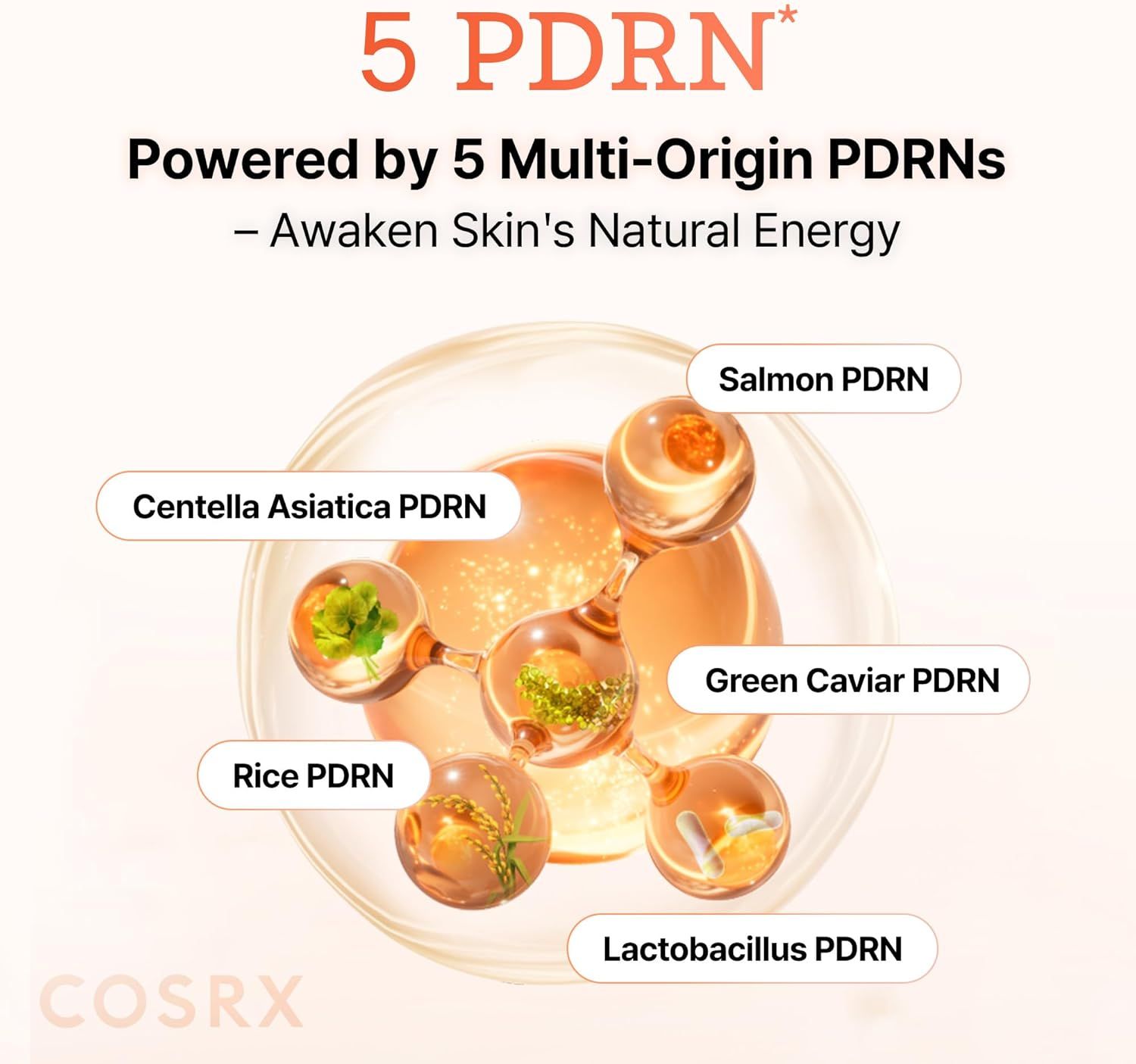 COSRX 5 PDRN B5 Vital Soothing Toner