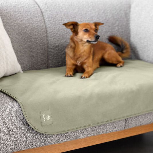 Palopa Hundedecke Schutzmatte Benti Olive