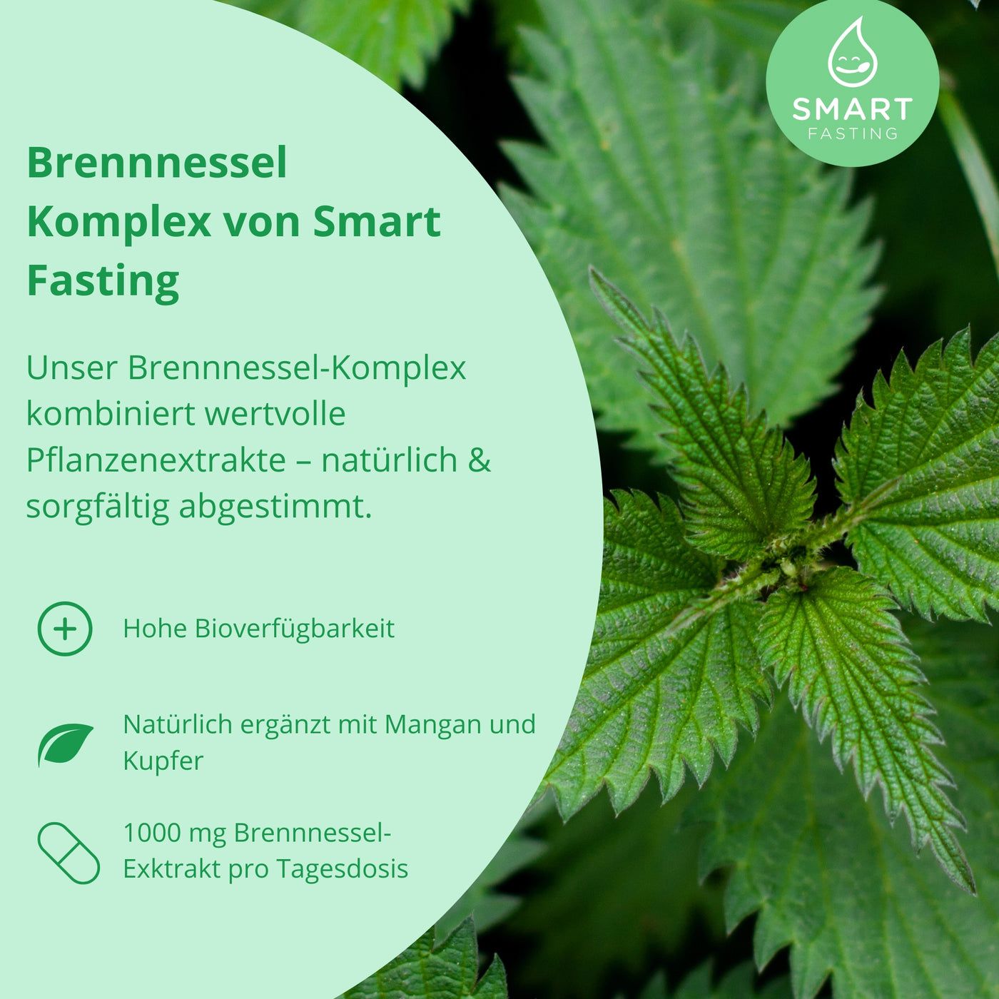 Grüne Blätter und eine Flasche mit schwarzem Deckel und der Aufschrift "BRENNNESSEL KOMPLEX".