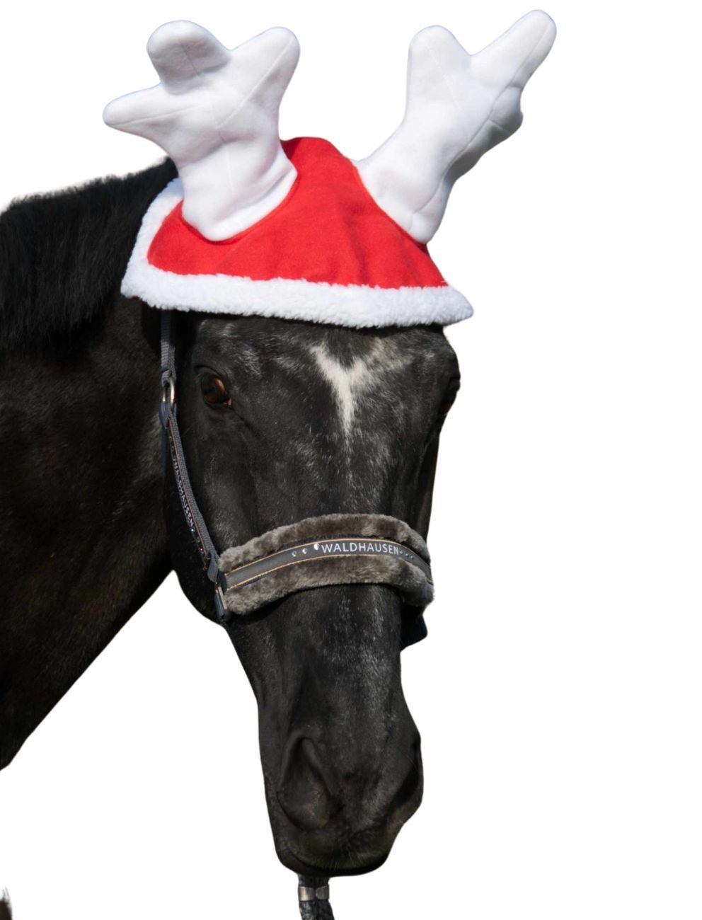 Schwarzes Pferd mit roter Weihnachtsmütze und Rentiergeweih. Halfter mit Logo.