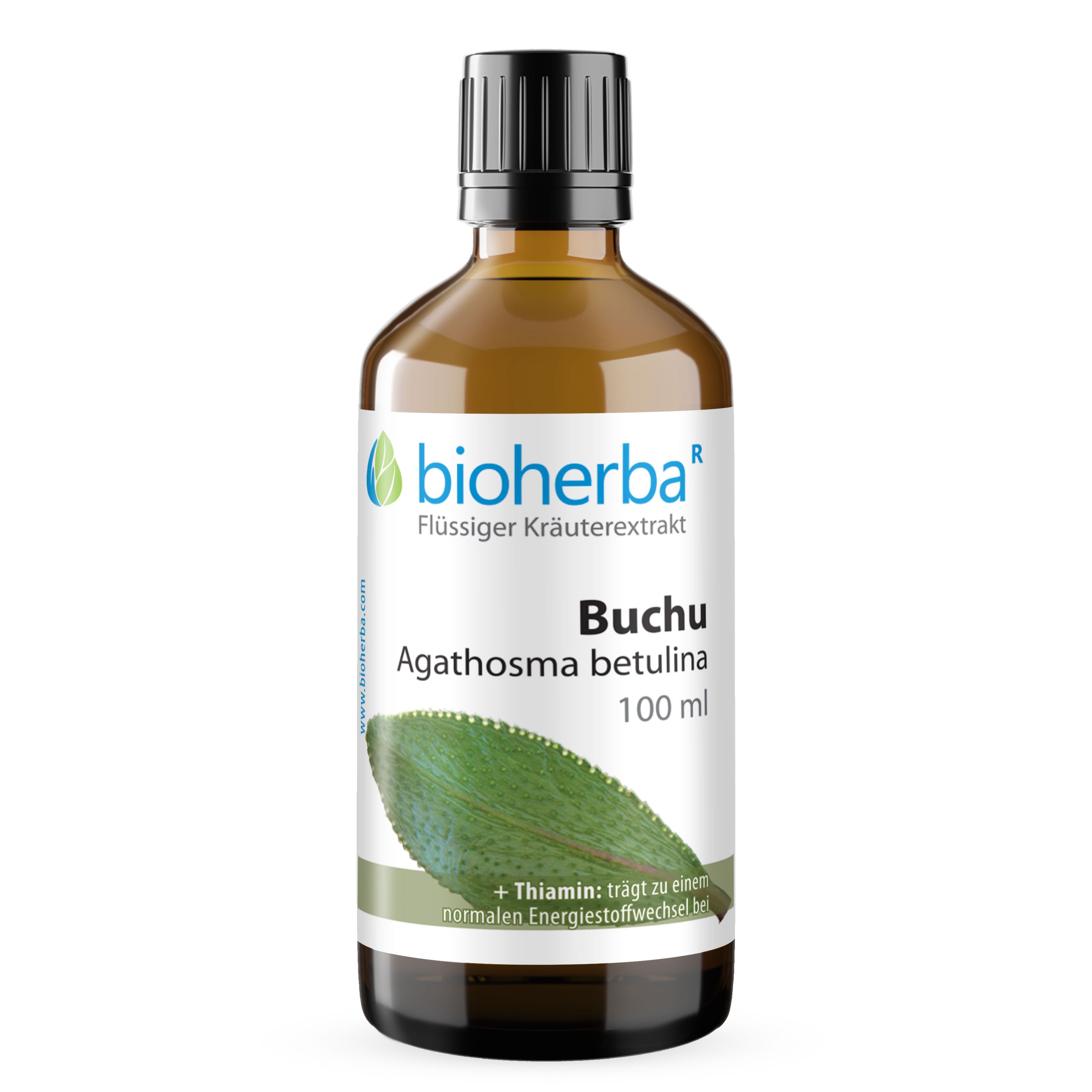 Braune Glasflasche mit schwarzem Deckel. Etikett mit Bioherba, Buchu Agathosma betulina, 100 ml. Kräuterextrakt.