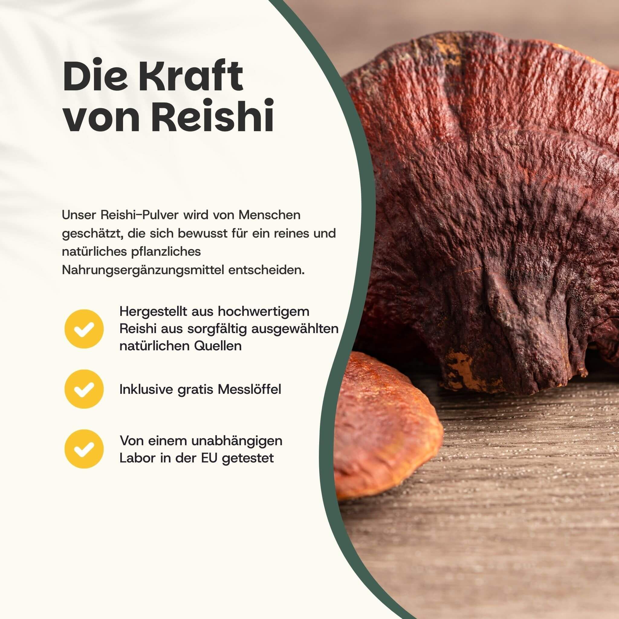 Text: Die Kraft von Reishi. Reishi-Pulver, hergestellt aus hochwertigem Reishi. Inklusive Messlöffel. Getestet in der EU.