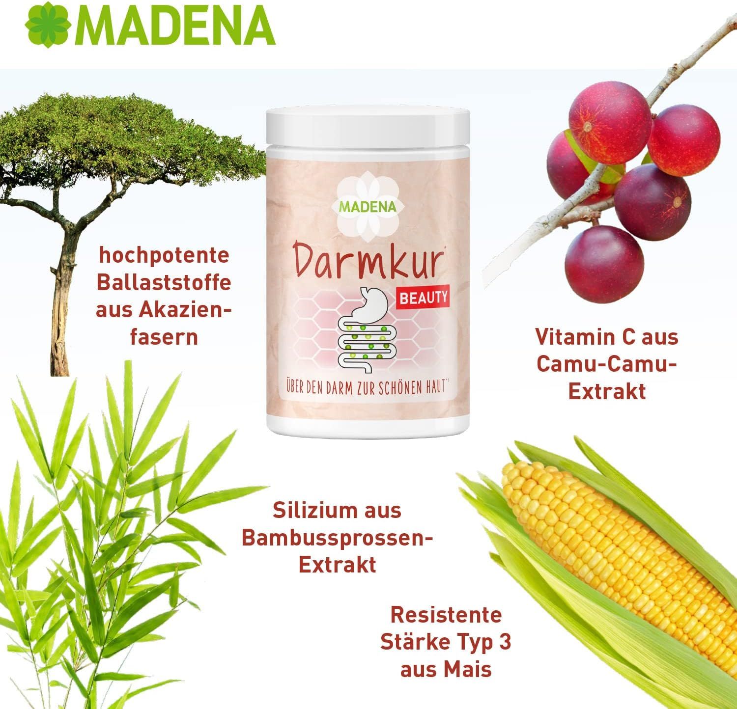 MADENA Darmkur Beauty-Dose. Inhaltsstoffe: Akazienfasern, Bambus, Camu-Camu-Extrakt, Mais. Text.