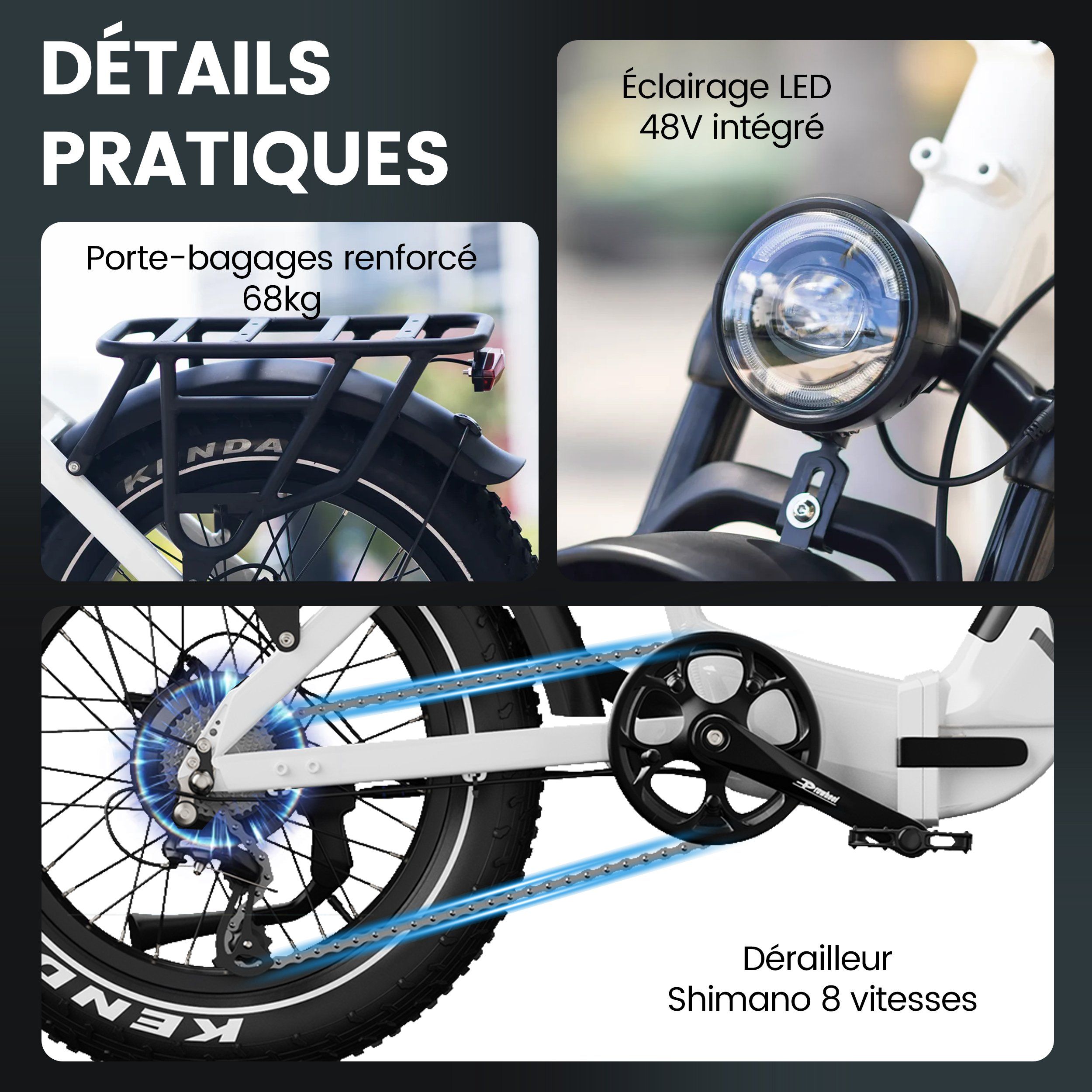 KINGBULL VERVE Elektrofahrrad, 48V 20Ah Akku (herausnehmbar), Shimano 8-Gang-Schaltung