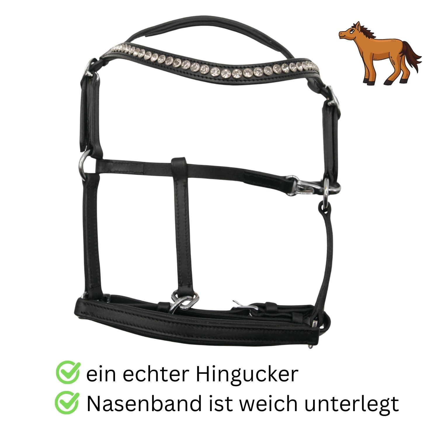 Schwarzes Lederhalfter mit Glitzer-Stirnband. Weich unterlegtes Nasenband. Mit Metallbeschlägen.