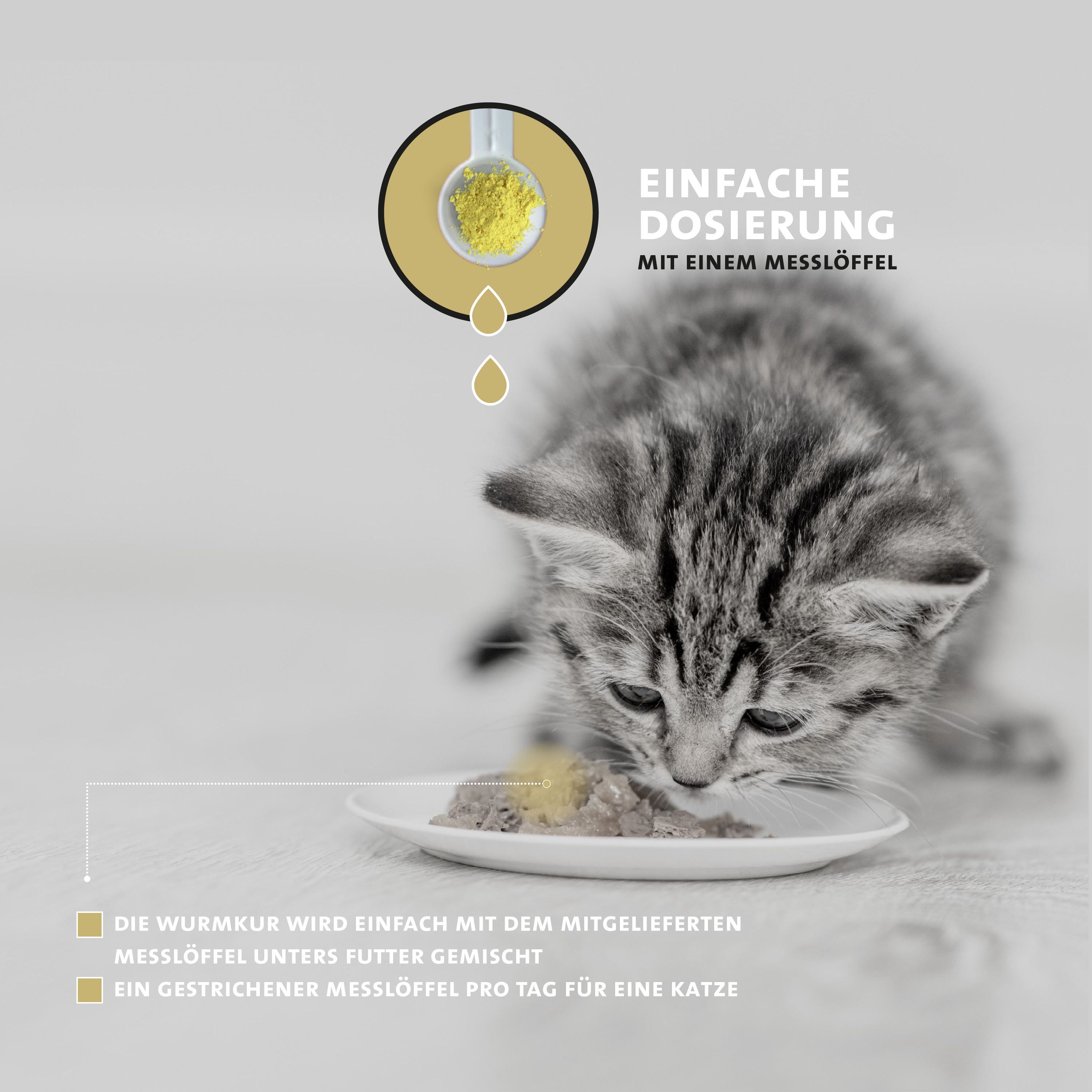 Kätzchen isst Futter. Text: Einfache Dosierung mit einem Messlöffel. Messlöffel unter Futter mischen.