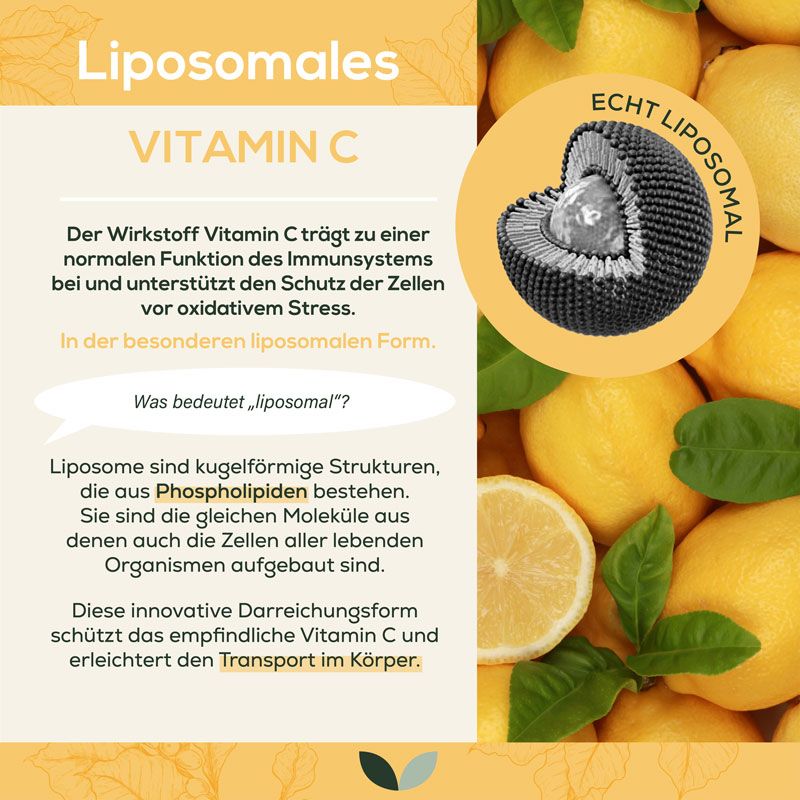 Infografik mit Zitronen und Liposomen-Darstellung. Erläutert die Wirkung von Vitamin C und Liposomen.