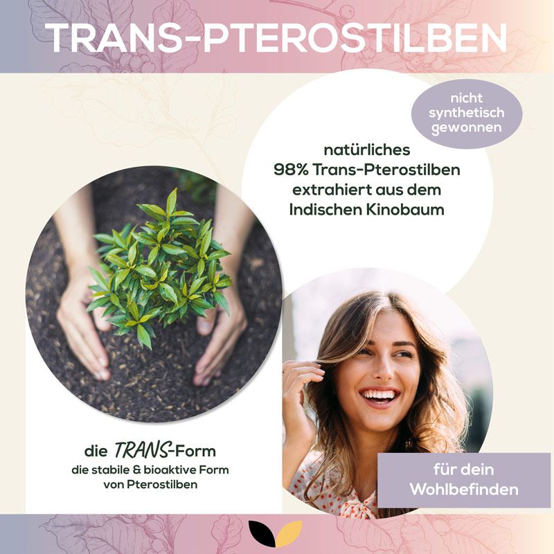 Werbebild mit Text und Bildern. Zeigt Hände, die eine Pflanze halten, und ein lächelndes Gesicht. Text: TRANS-PTEROSTILBEN, 98% extrahiert.