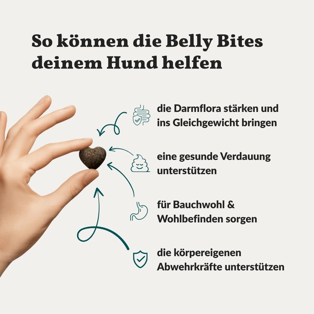 Hand hält Herz-förmigen Snack. Infografik: Stärkung Darmflora, gesunde Verdauung, Wohlbefinden, Abwehrkräfte.