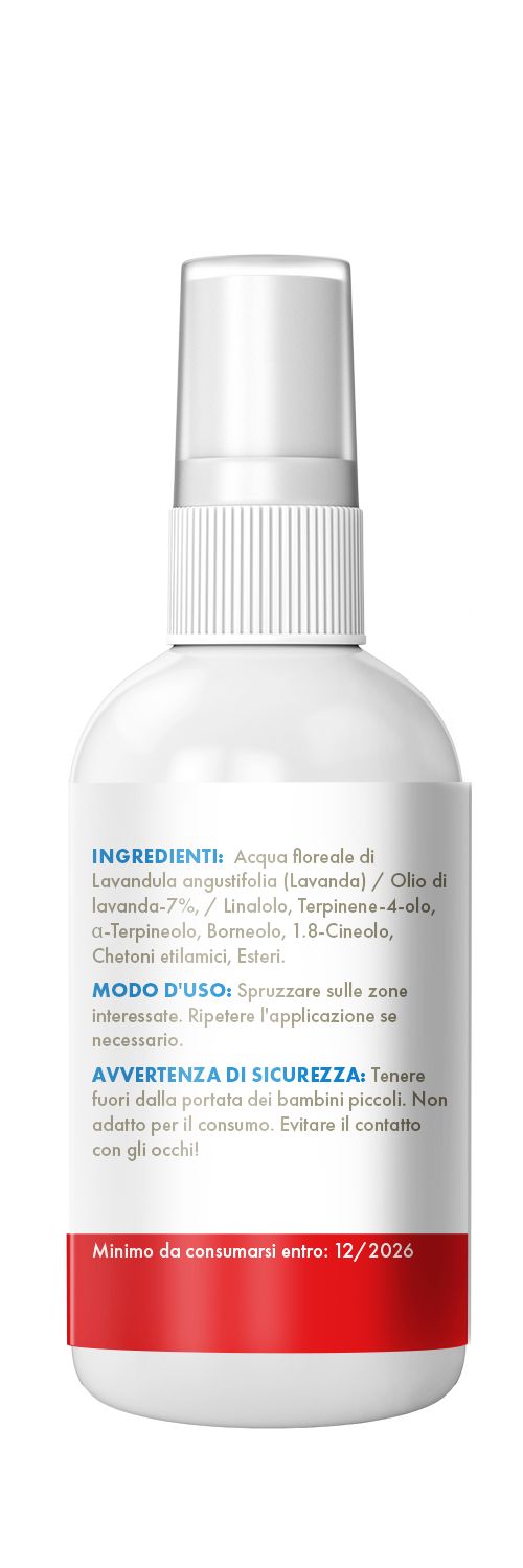 Kleine Sprühflasche. Etikett mit Inhaltsstoffen, Anwendungshinweisen und Sicherheitswarnungen. Mindesthaltbarkeit 12/2026.