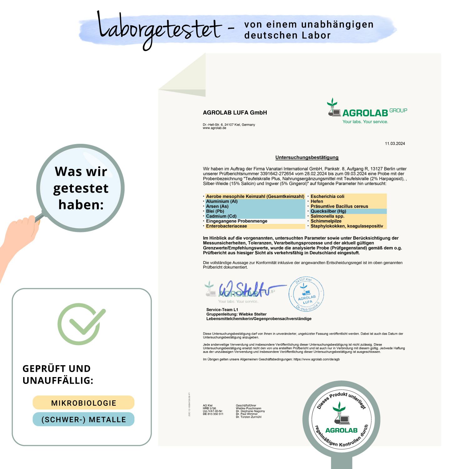 VEGAVERO Teufelskralle Plus