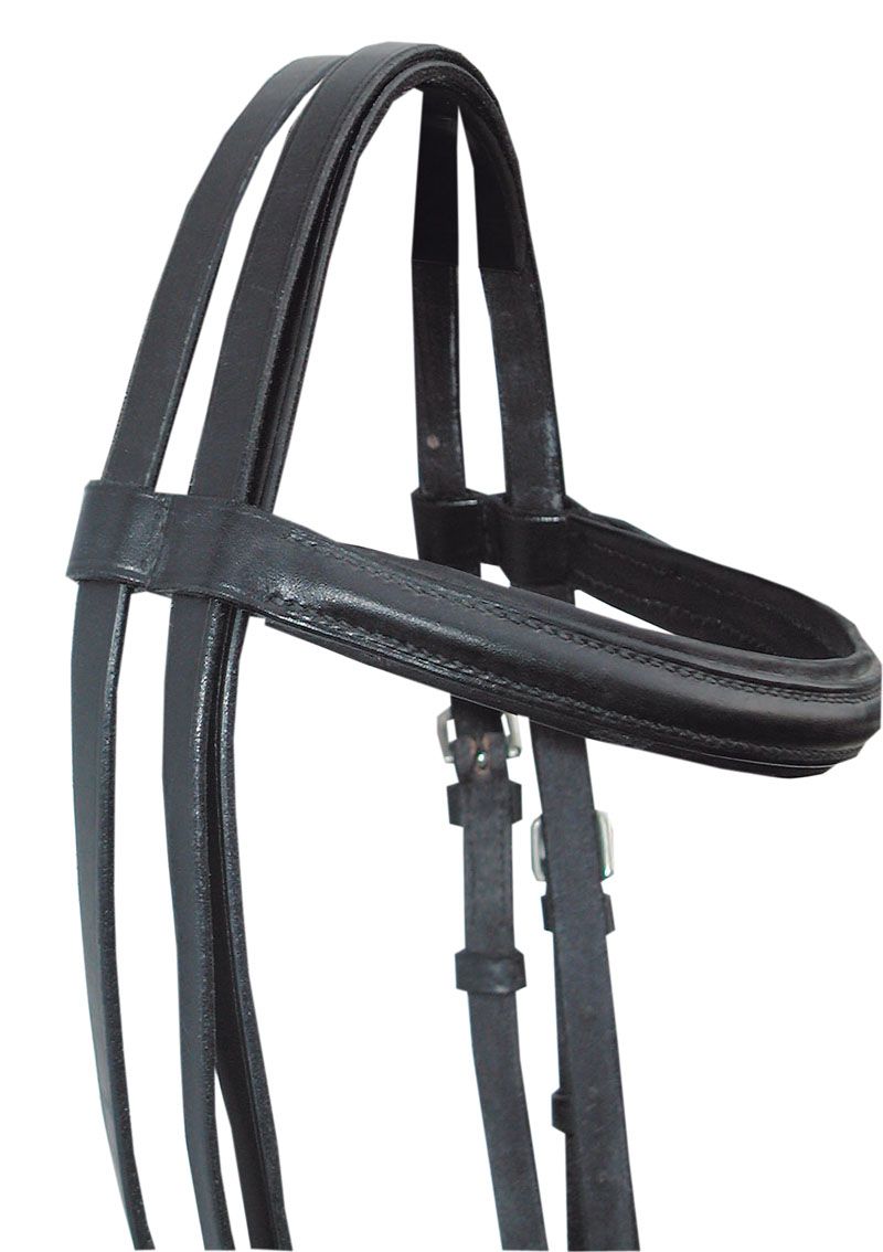 Schwarzer Trensenzaum, Leder, mit Stirnriemen und Backenstücken. Metallbeschläge. Detailansicht.