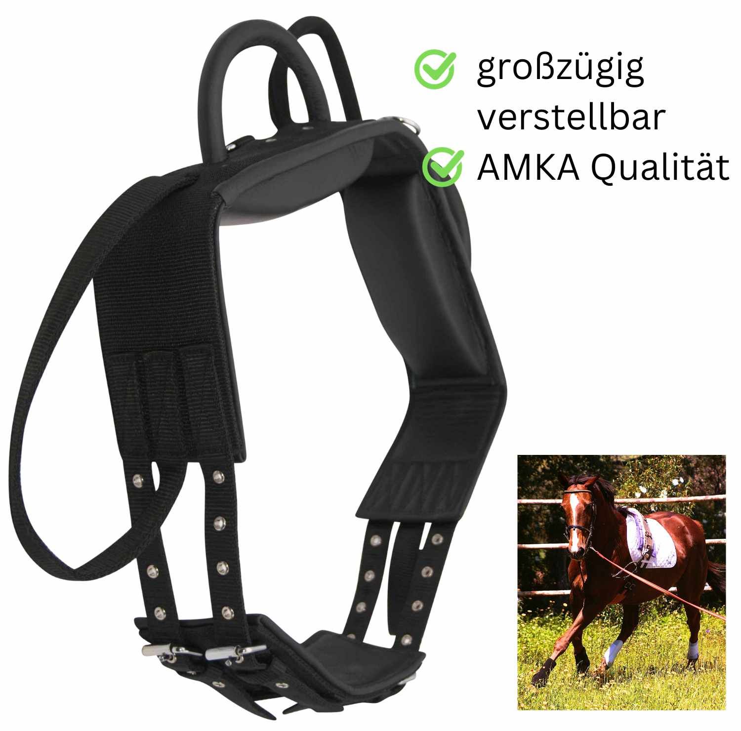 Schwarzer Longiergurt mit Griffen und Ringen. AMKA Qualität. Großzügig verstellbar. Kleines Bild eines Pferdes mit Gurt.