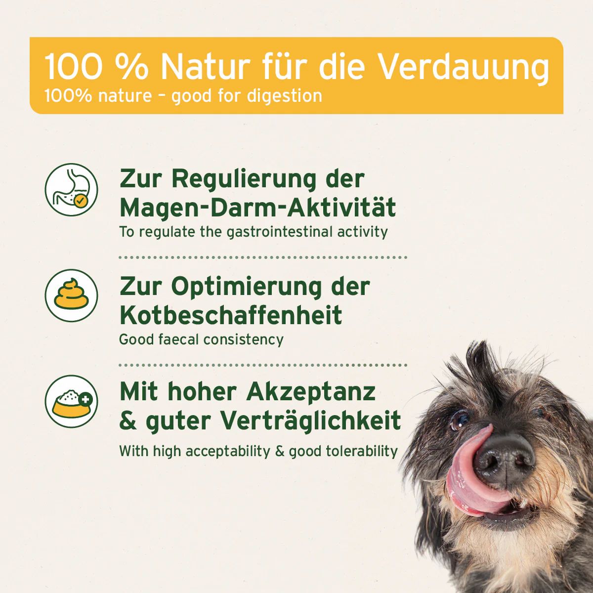 Text: 100 % Natur für die Verdauung. Hund mit Zunge. Reguliert die Magen-Darm-Aktivität.