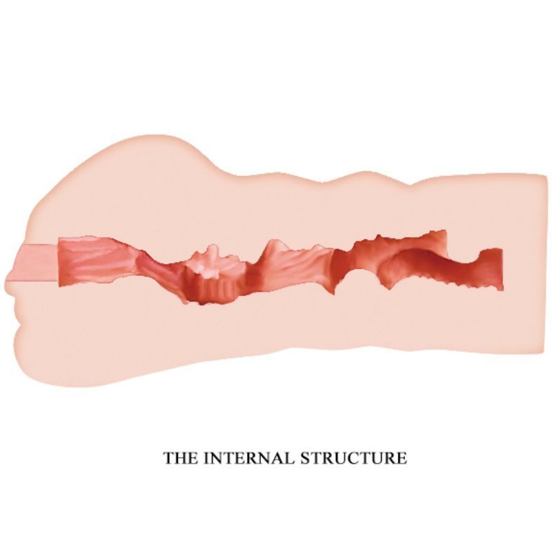 Querschnitt eines Masturbators. Innere Struktur in Rot dargestellt. Geformte Kammern.