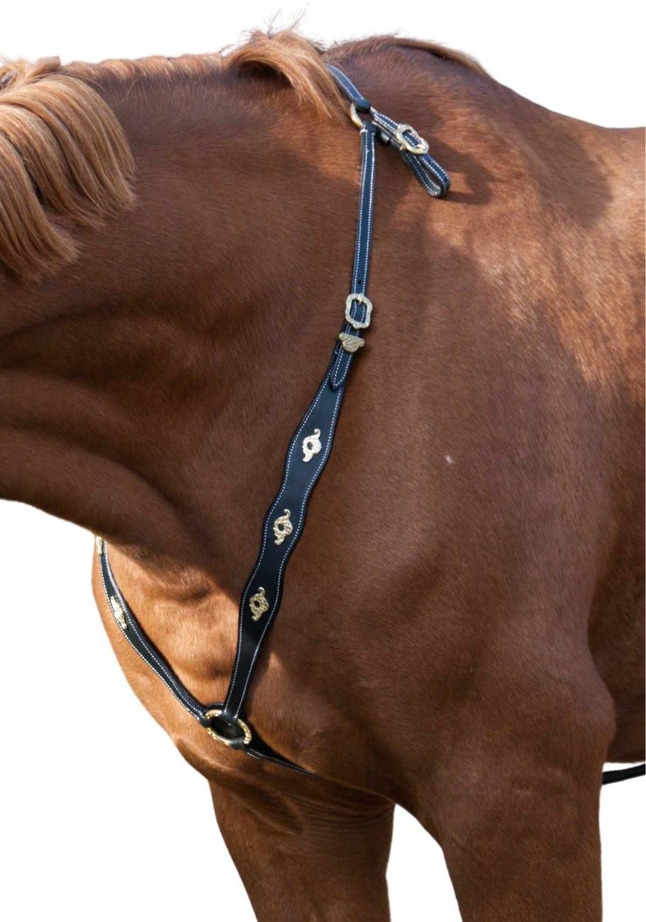 Braunes Pferd mit schwarzem Vorderzeug. Goldfarbene Verzierungen und Beschläge. Weißes Naht.