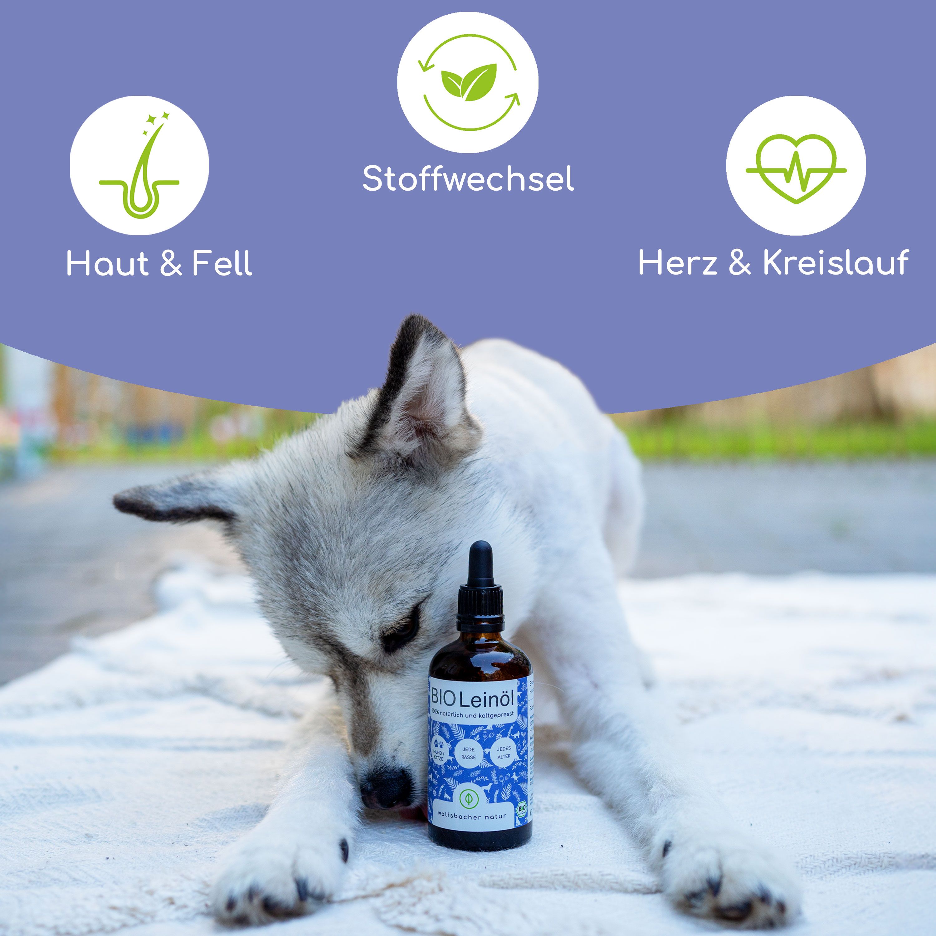 Braune Glasflasche mit Tropfer und Etikett. Hund liegt daneben. Auf dem Etikett steht BIO Leinöl. Symbole für Haut & Fell, Stoffwechsel, Herz & Kreislauf.