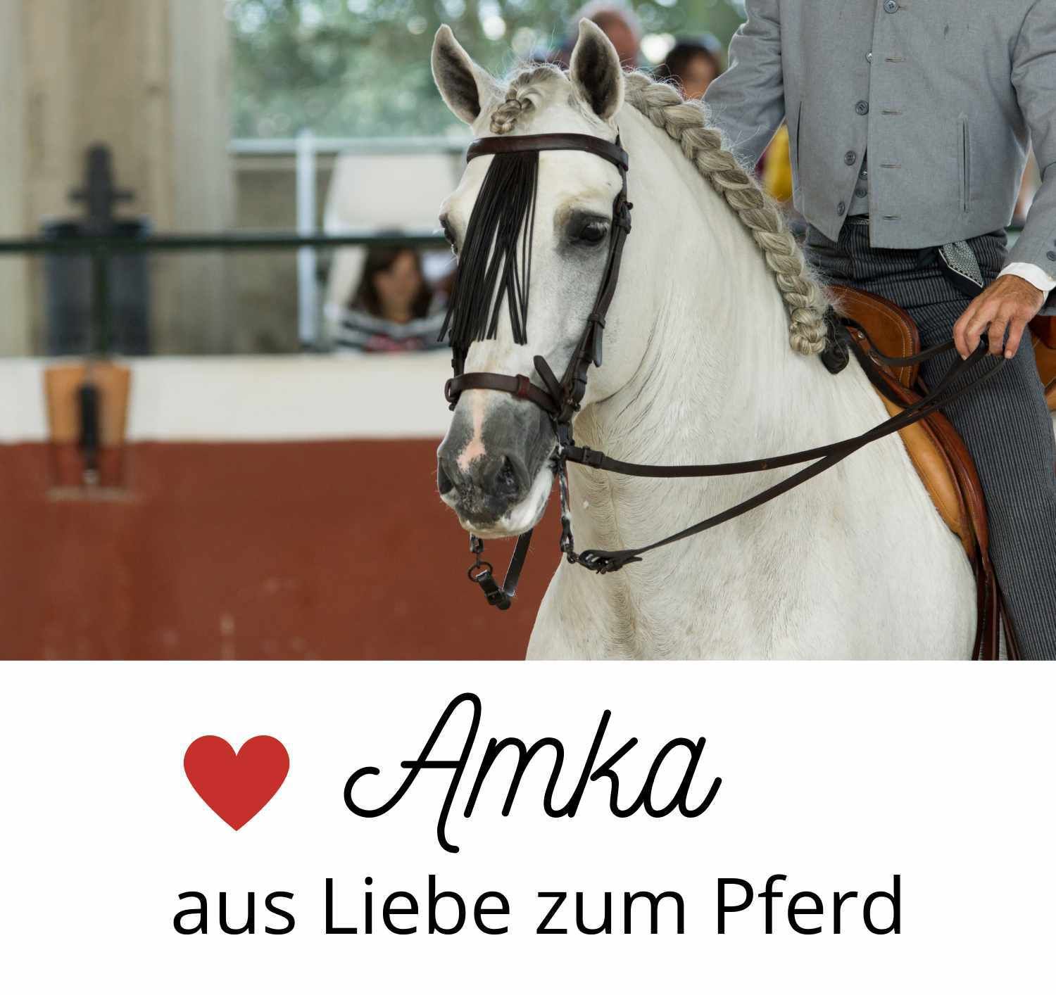 Weißes Pferd mit Zügel und Trense. Text: Amka, aus Liebe zum Pferd. Rotes Herz-Symbol.