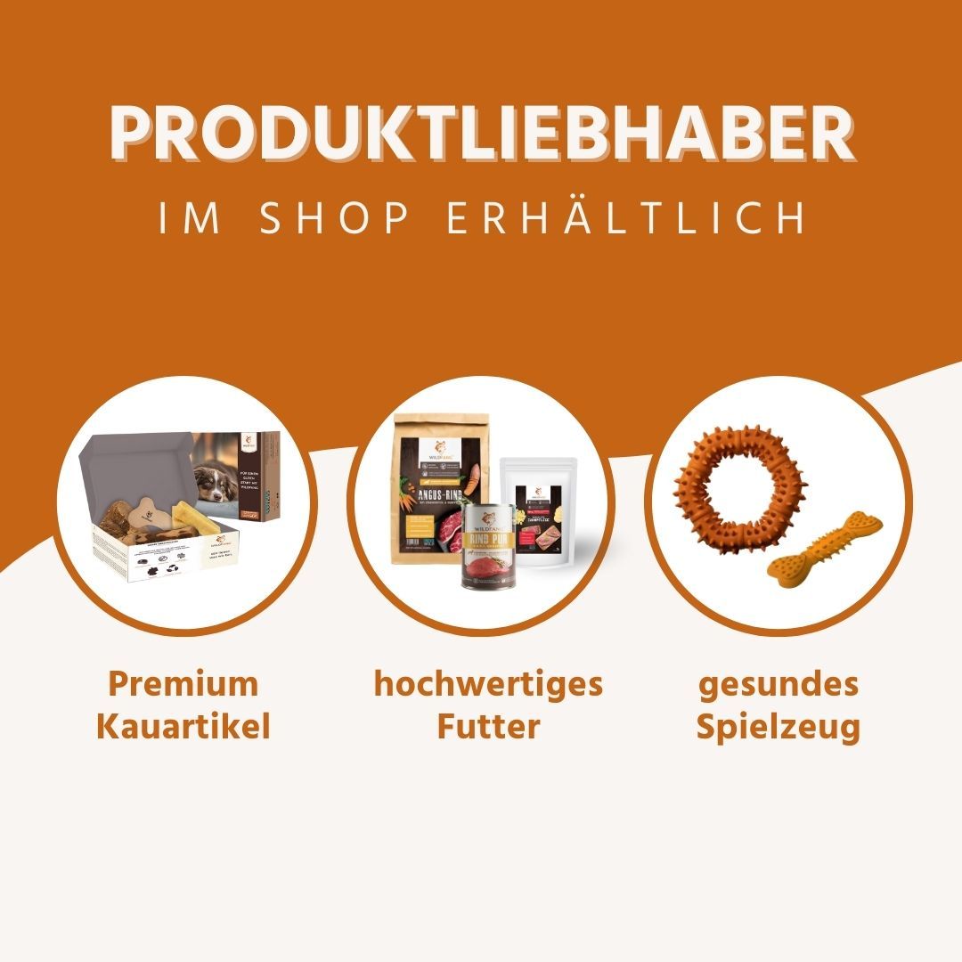 Produktübersicht: Kauartikel, Nassfutter und Spielzeug für Hunde.