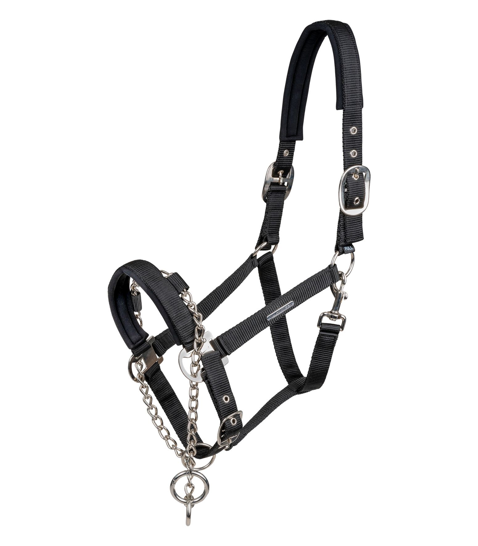 Schwarzes Hengsthalfter mit Kette und Metallbeschlägen. Ansicht von vorne, freigestellt.