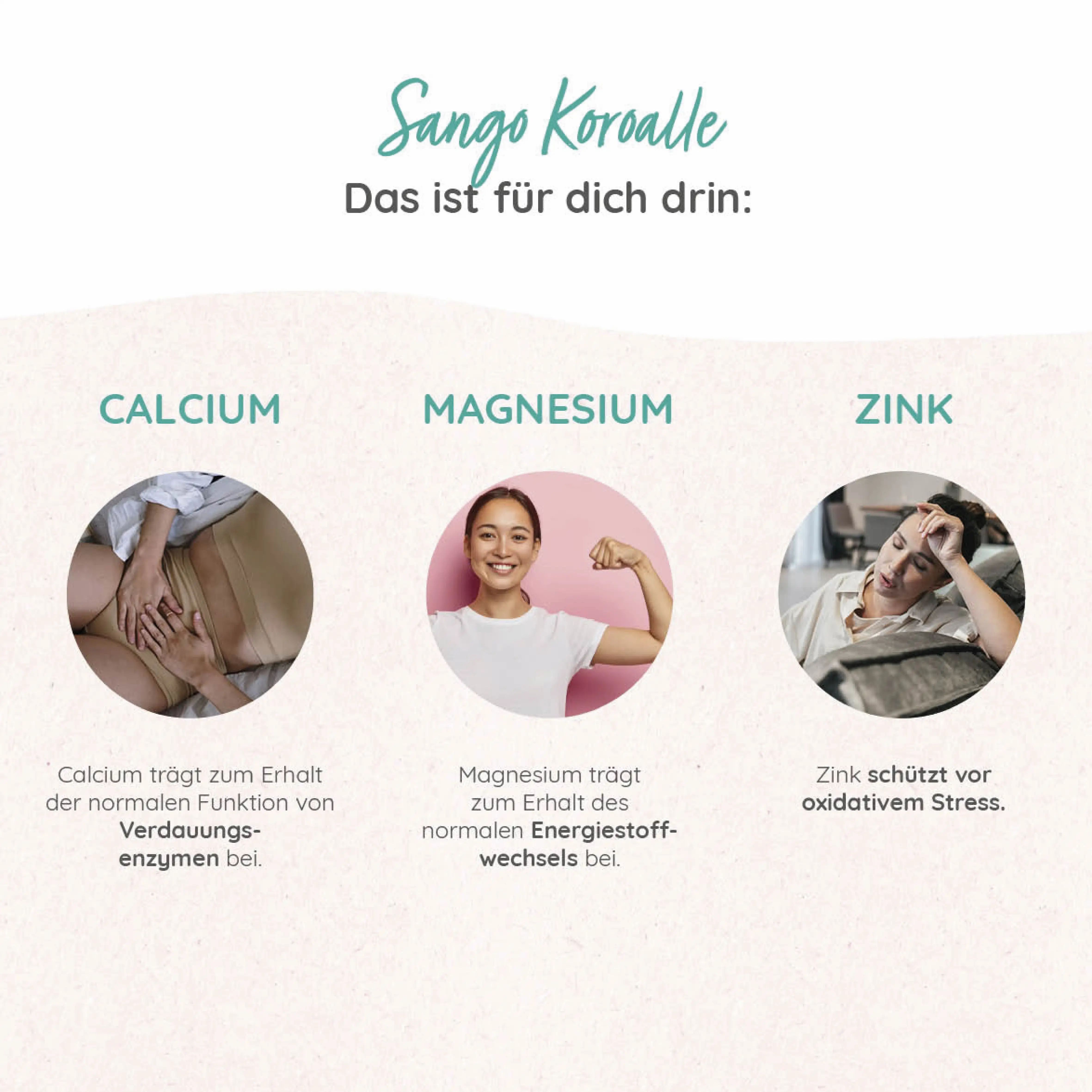 Grafik mit drei Kreisen: Calcium, Magnesium, Zink. Jedes zeigt eine Person und Text. Calcium für Verdauung, Magnesium für Stoffwechsel, Zink für Stress.
