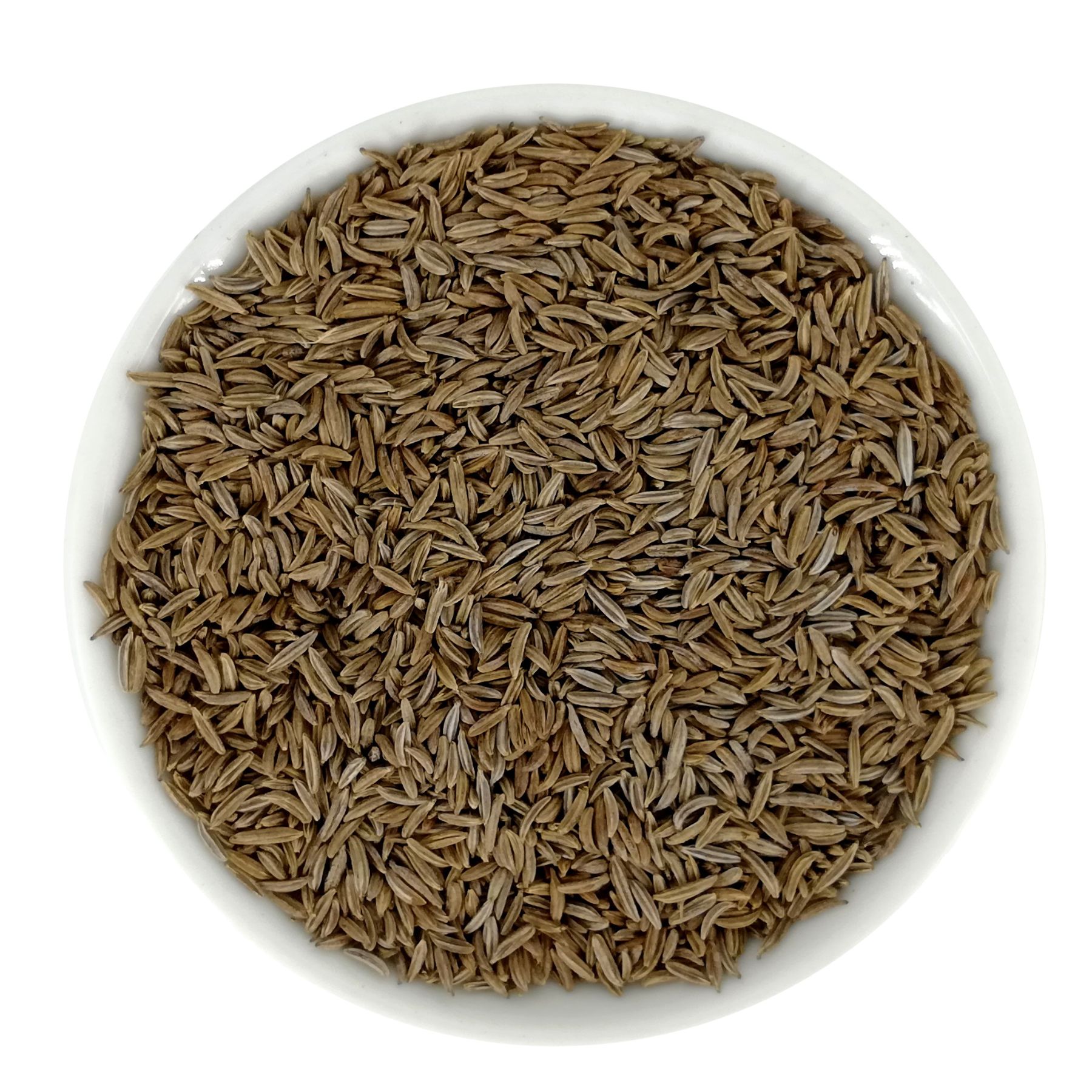 Weiße Schale gefüllt mit braunen Kümmelsamen. Nahaufnahme, isoliert auf weißem Hintergrund.