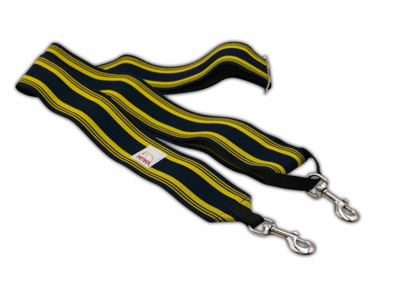 Blau-gelbes Longierband mit zwei Karabinern. Streifenmuster. Logo.