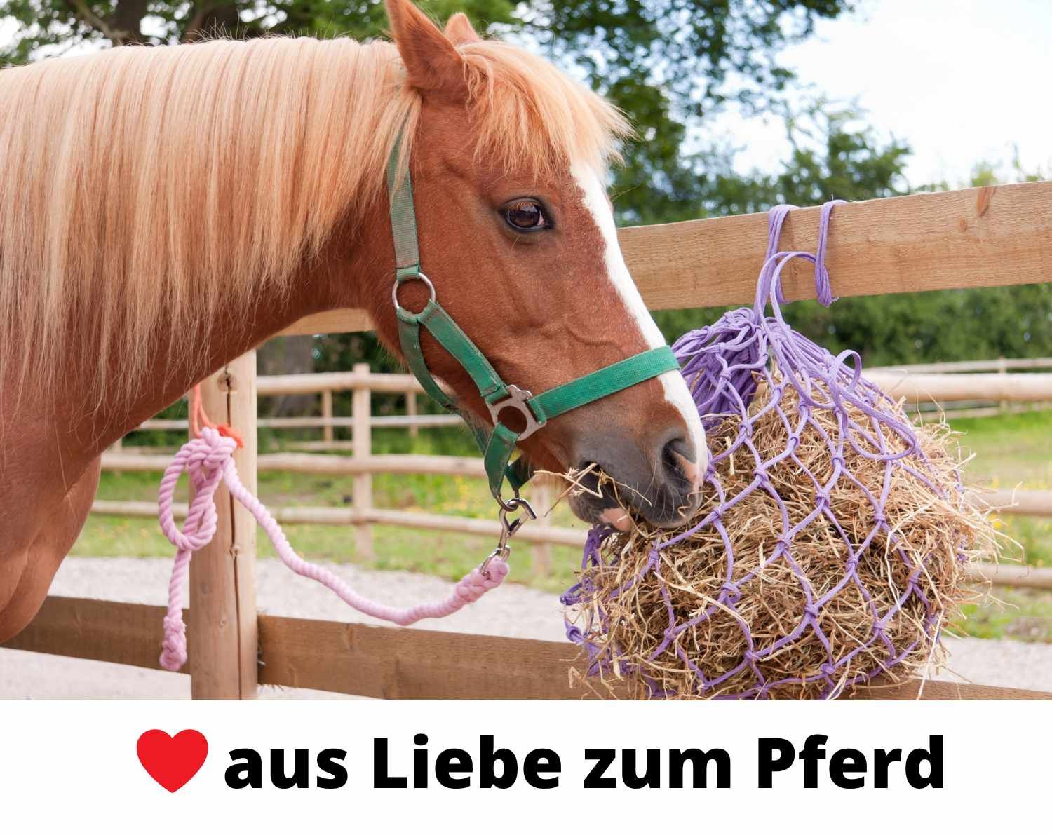 HorseGuard Heunetz