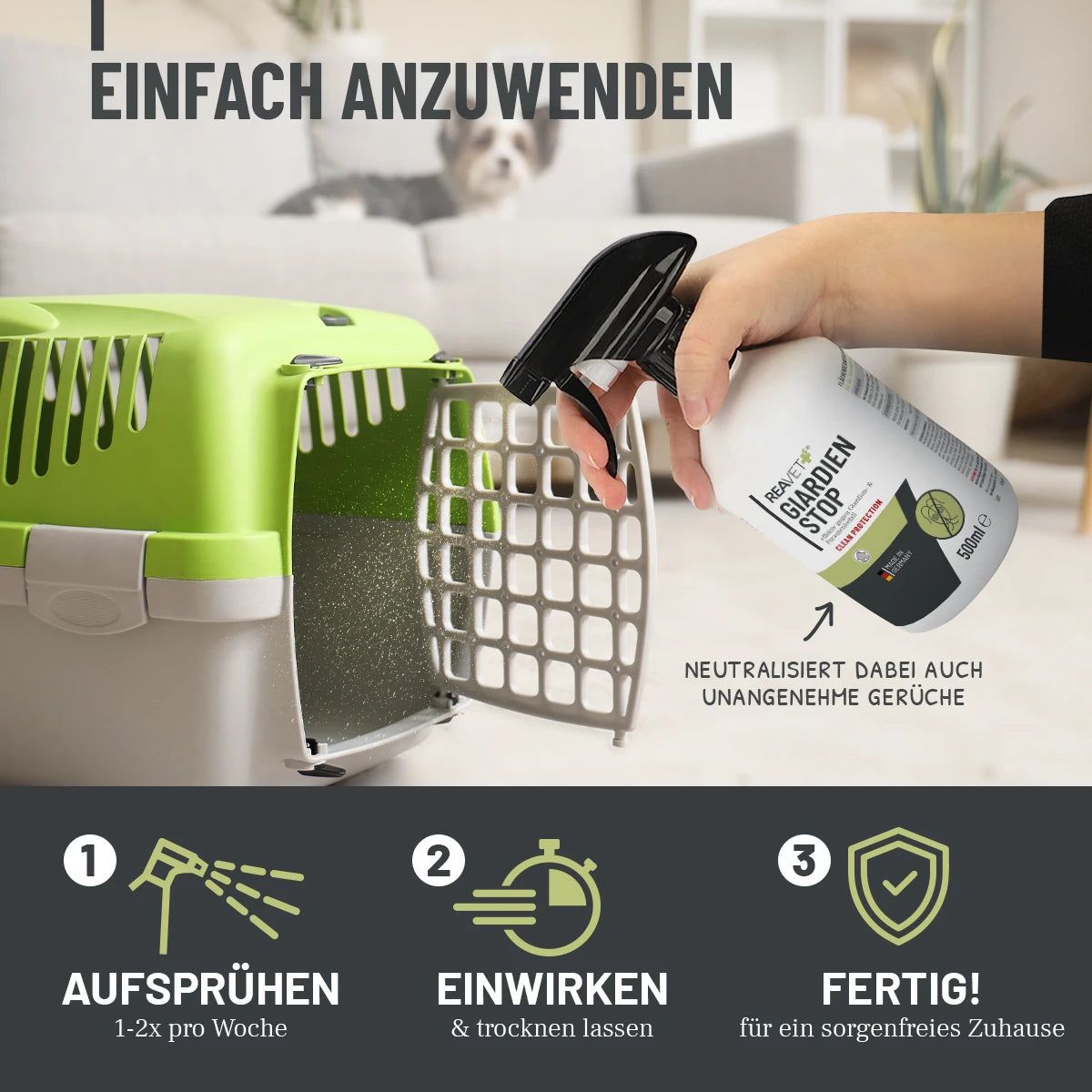 ReaVET Giardien Stop Spray. Flasche mit Sprühkopf. Anwendungsschritte: Aufsprühen, Einwirken lassen, Fertig. Grüne Transportbox.