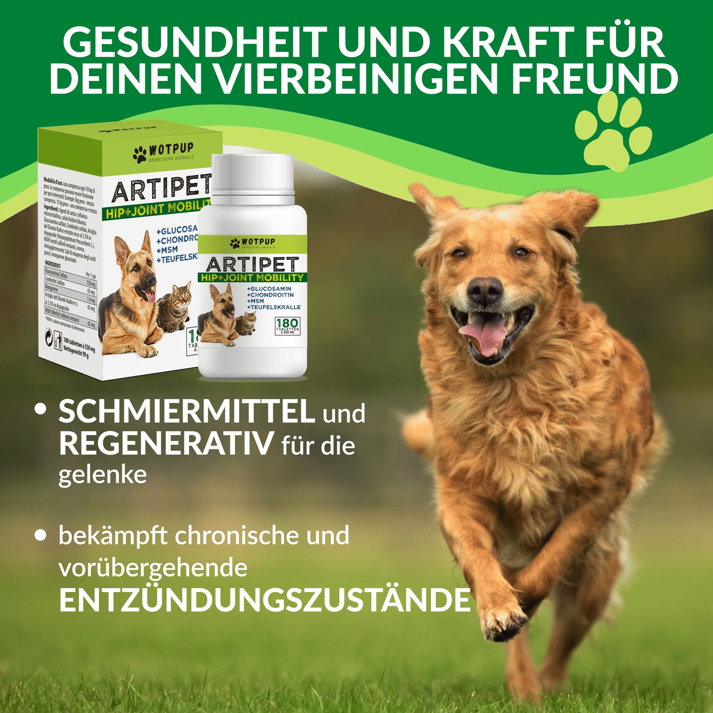 Grünes Produkt-Set mit Flasche und Box. Aufschrift: Artipet. Hund rennt auf Wiese. Text: Gesundheit und Kraft für deinen Freund.
