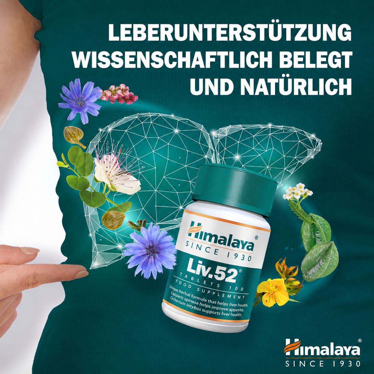 Himalaya Liv.52 Tabletten Flasche umgeben von Kräutern und einer stilisierten Leber.