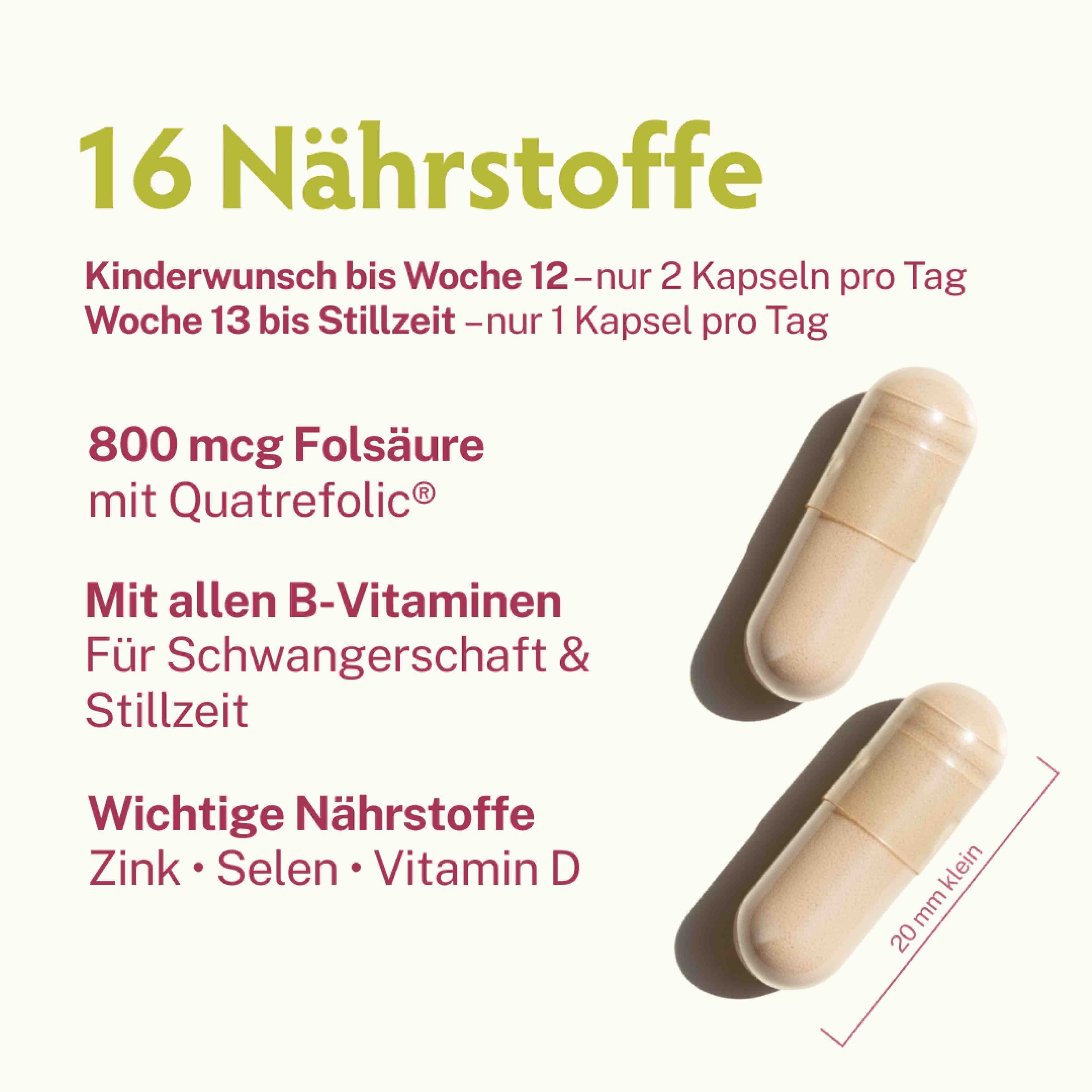 Zwei Kapseln. Text: 800 mcg Folsäure mit Quatrefolic, B-Vitamine, Zink, Selen, Vitamin D. 20 mm klein.