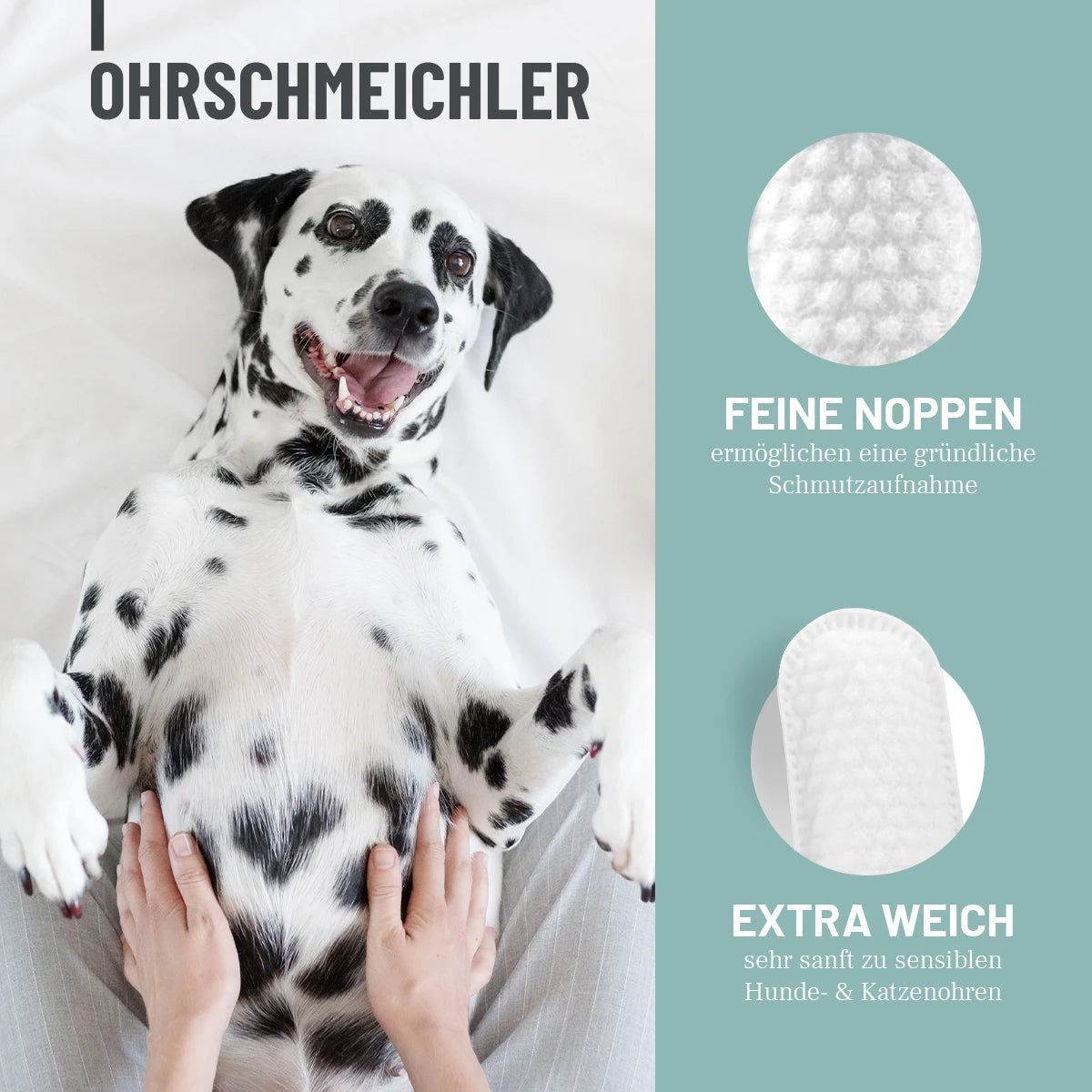 Ein Dalmatiner liegt auf dem Rücken. Zwei Finger-Pads werden gezeigt. Text: Ohrschmeichler, feine Noppen, extra weich.