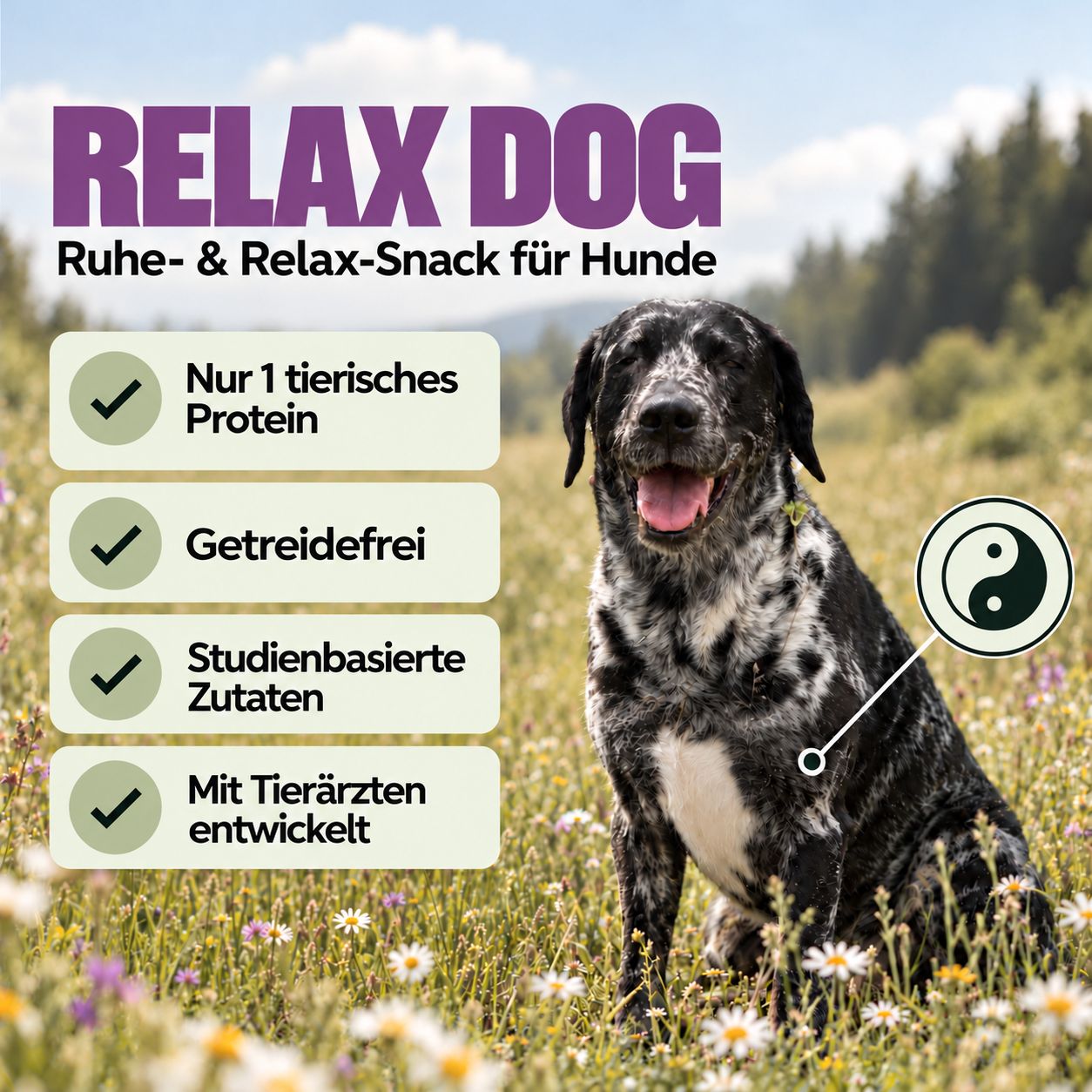 Relax Dog: Ruhe- & Relax-Snack für Hunde. Nur 1 tierisches Protein, getreidefrei, studienbasierte Zutaten.
