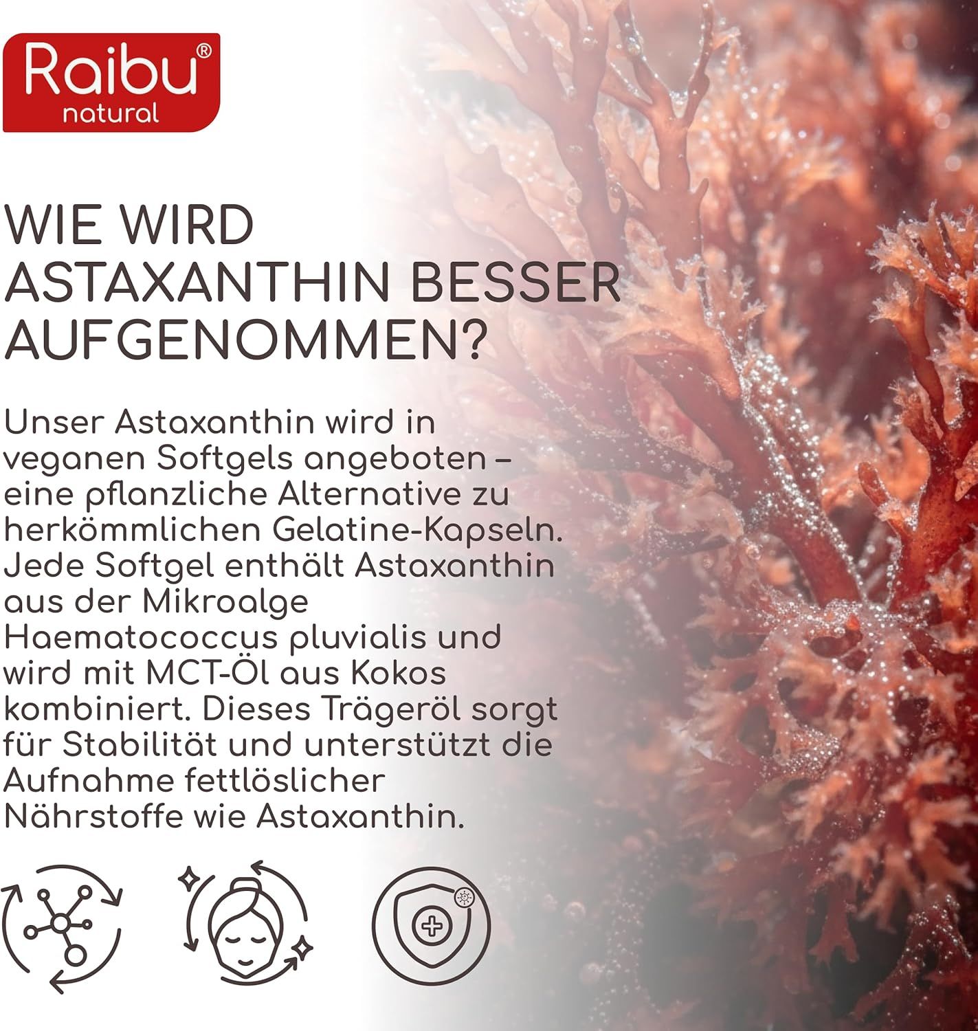 Text: Wie wird Astaxanthin besser aufgenommen? Vegan Softgels, pflanzliche Alternative. Enthält Astaxanthin aus Mikroalgen.