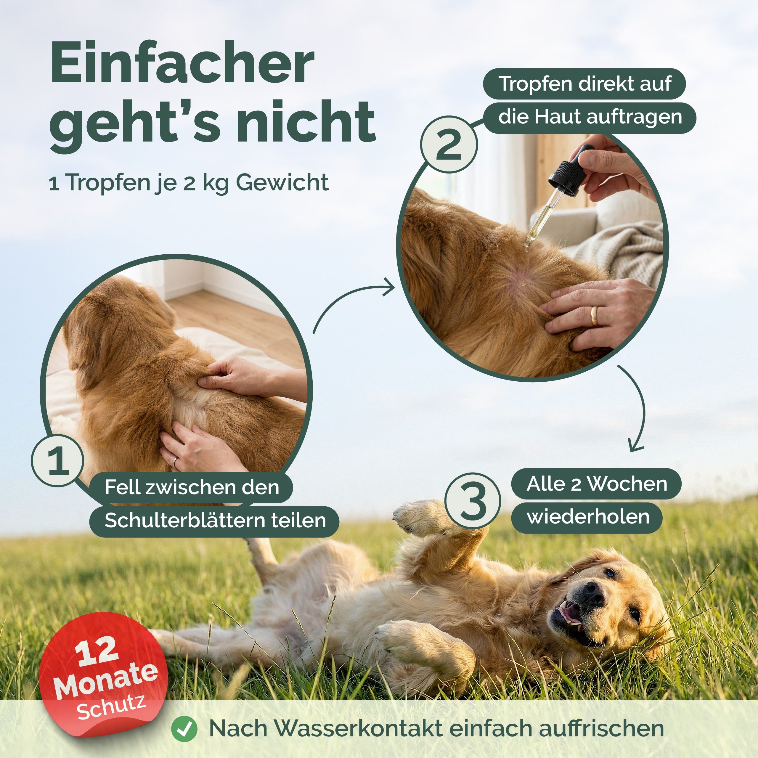 Anwendung des Produkts: 1 Tropfen pro 2 kg Gewicht. Schritte: Fell teilen, Tropfen auftragen, alle 2 Wochen wiederholen. 12 Monate Schutz.