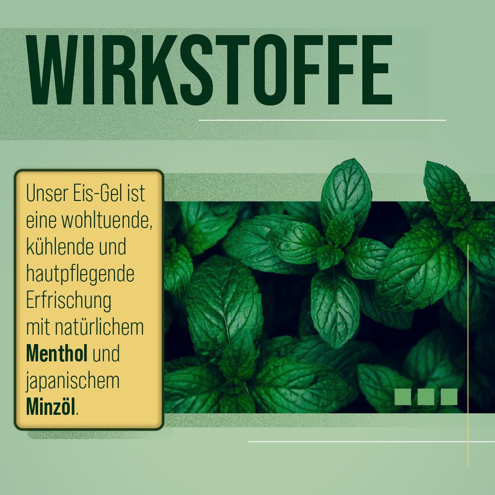 Text mit dem Wort "Wirkstoffe" und Text über Eis-Gel mit Menthol und Minzöl. Hintergrund mit grünen Blättern.