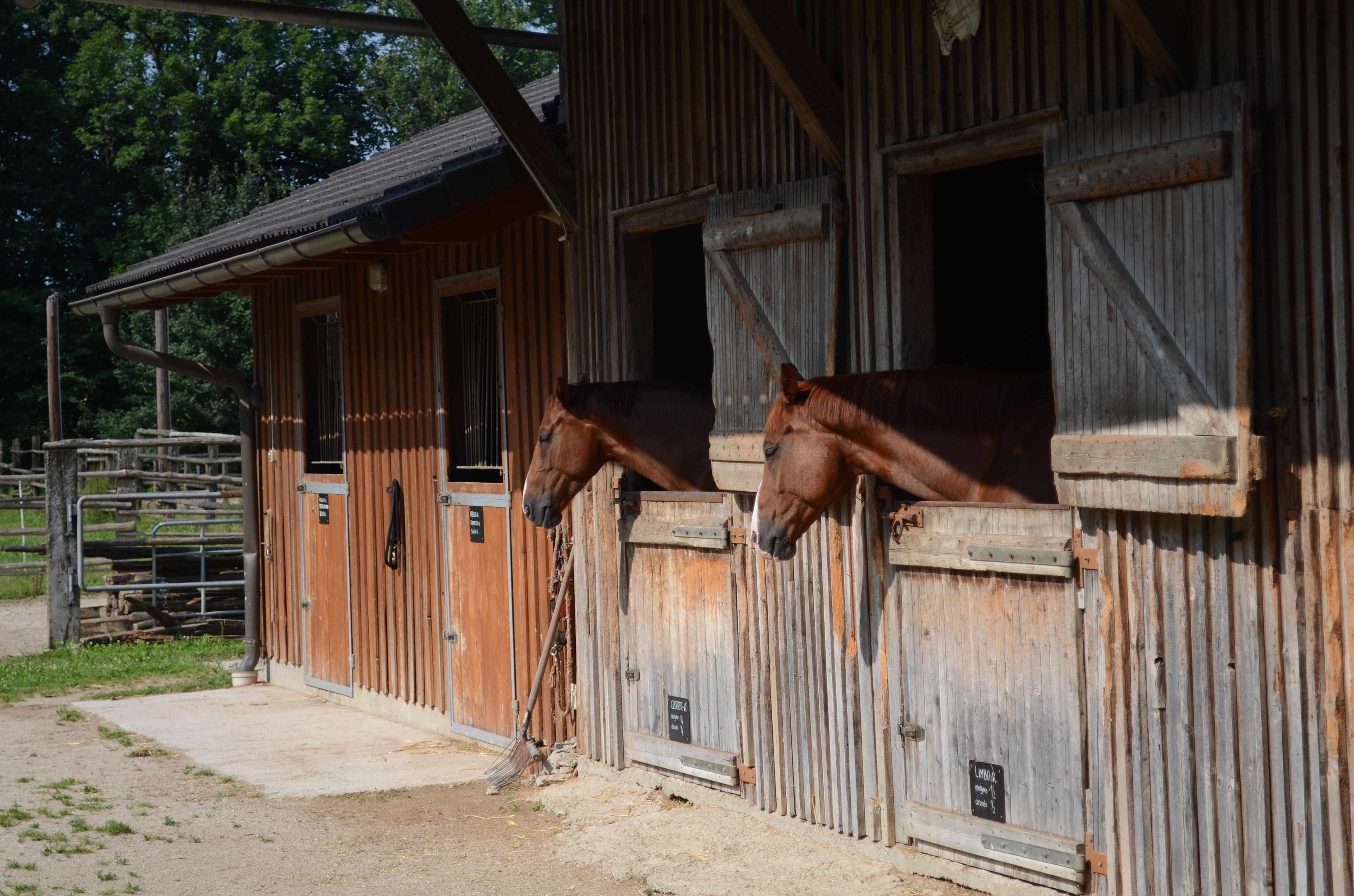 HorseGuard Heunetz