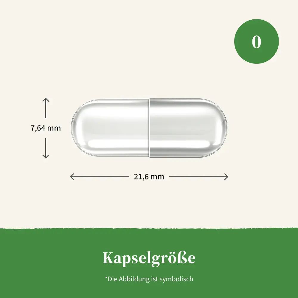 Eine einzelne Kapsel mit Maßen: Länge 21,6 mm, Höhe 7,64 mm.