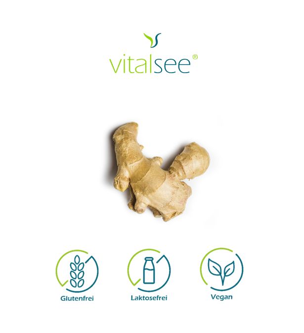 Logo: vitalsee. Ingwerwurzel auf weißem Hintergrund. Symbole: glutenfrei, laktosefrei, vegan.