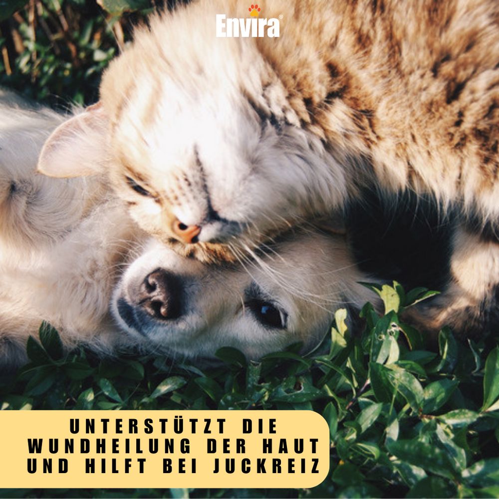 Hund und Katze liegen zusammen. Text: Unterstützt die Wundheilung und hilft bei Juckreiz. ENVIRA Logo.