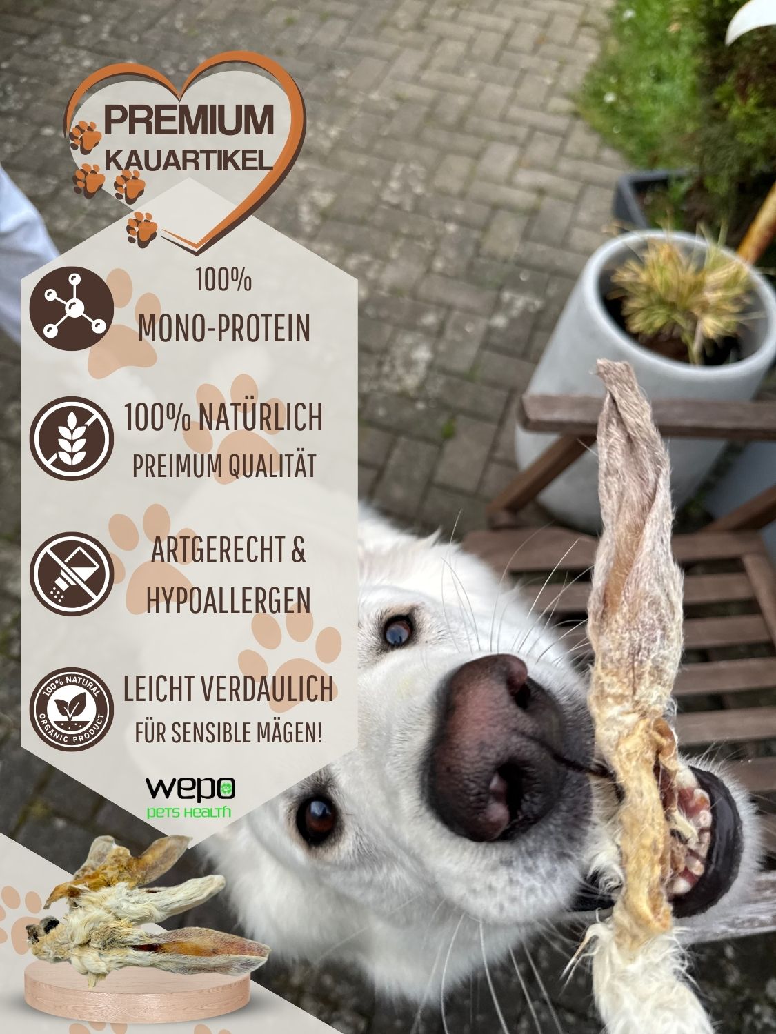 Hund mit getrocknetem Hasenohr. Text: Premium Kauartikel, 100% Mono-Protein, 100% natürlich, artgerecht & hypoallergen.